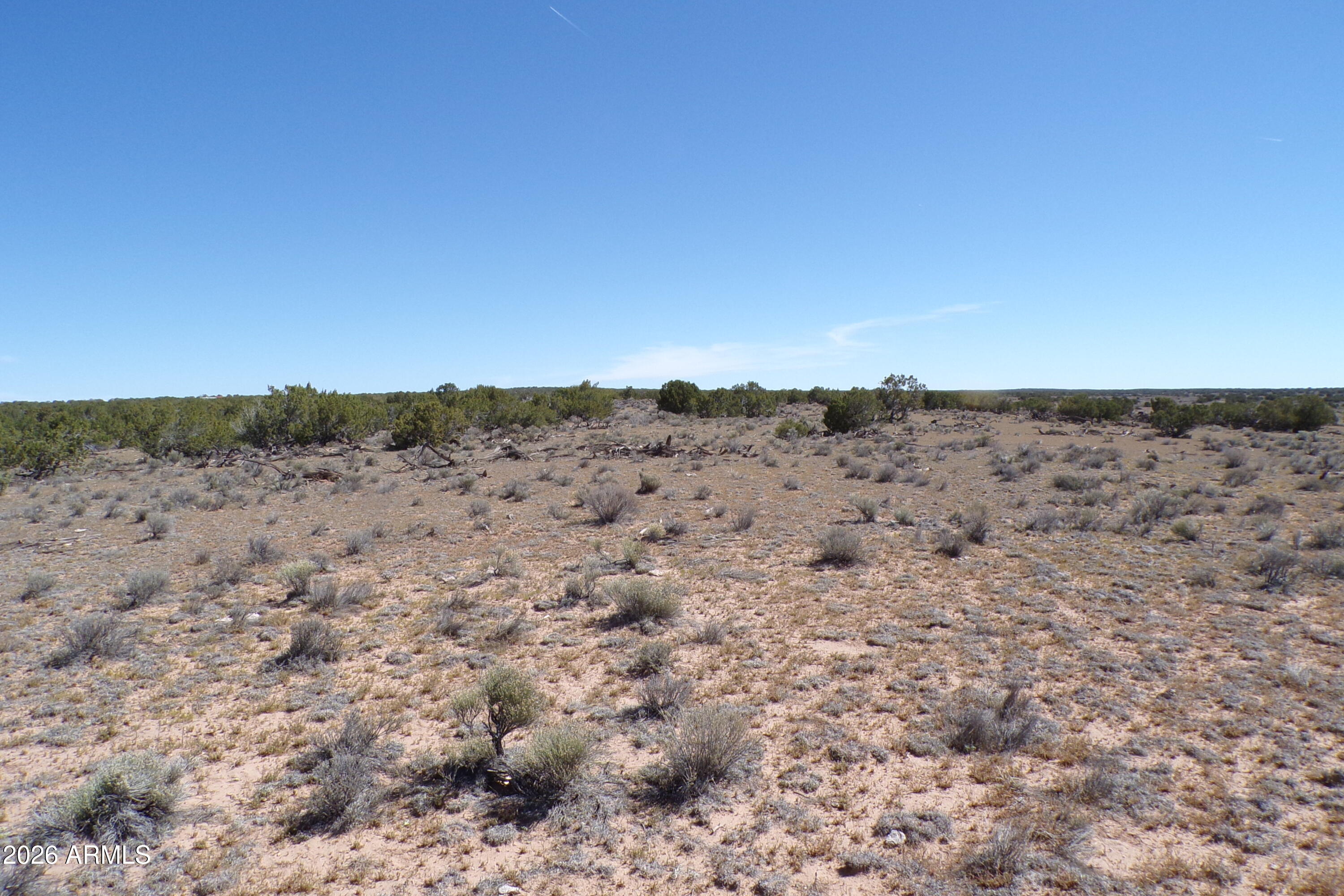 0 Ranch Road Sanders, AZ 86512 - Photo 24 of 42 a view of a dry field with trees in the background
