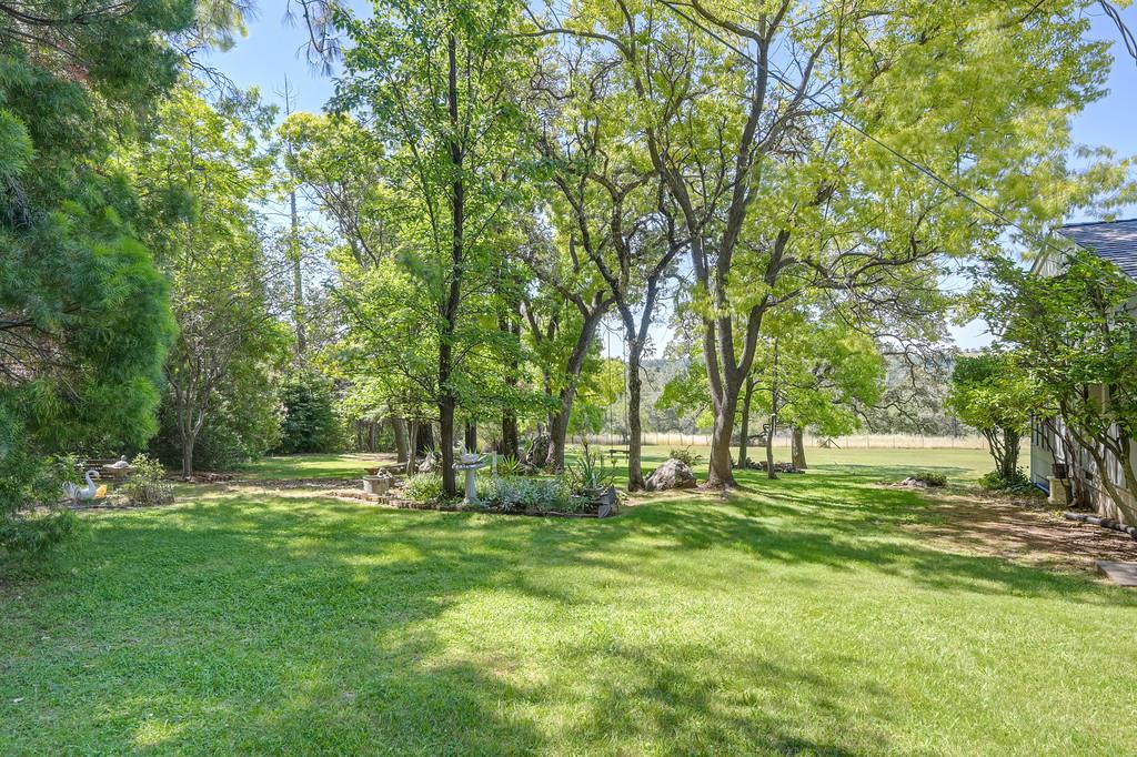 3735 Bell Road Auburn, CA 95603 - Photo 7 of 49