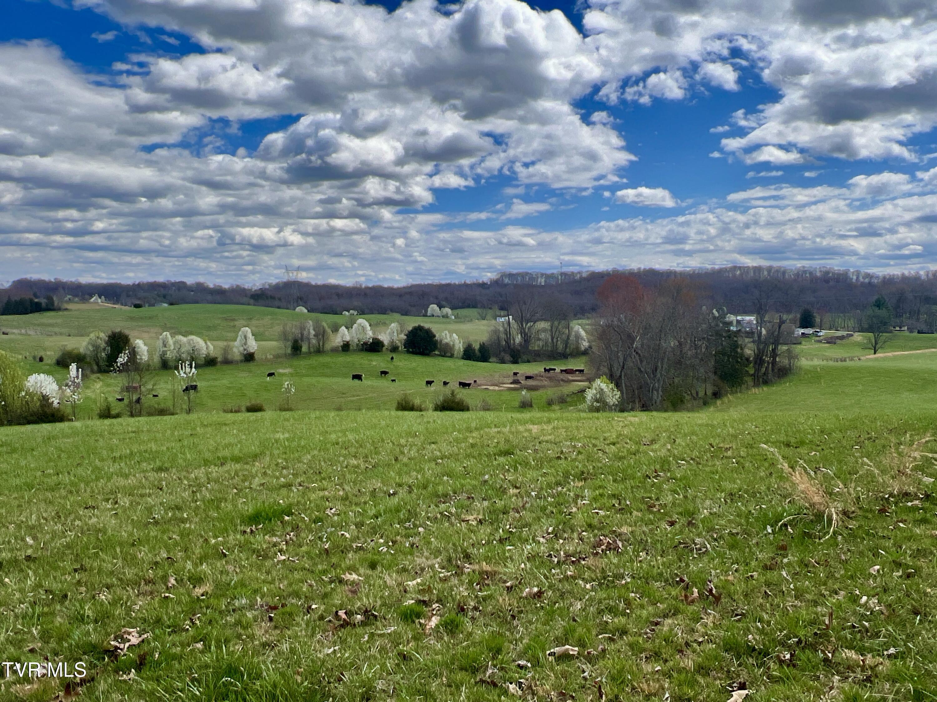 93 Fall Branch Fall Branch, TN 37656 - Photo 1 of 73 _Pic1 (27)