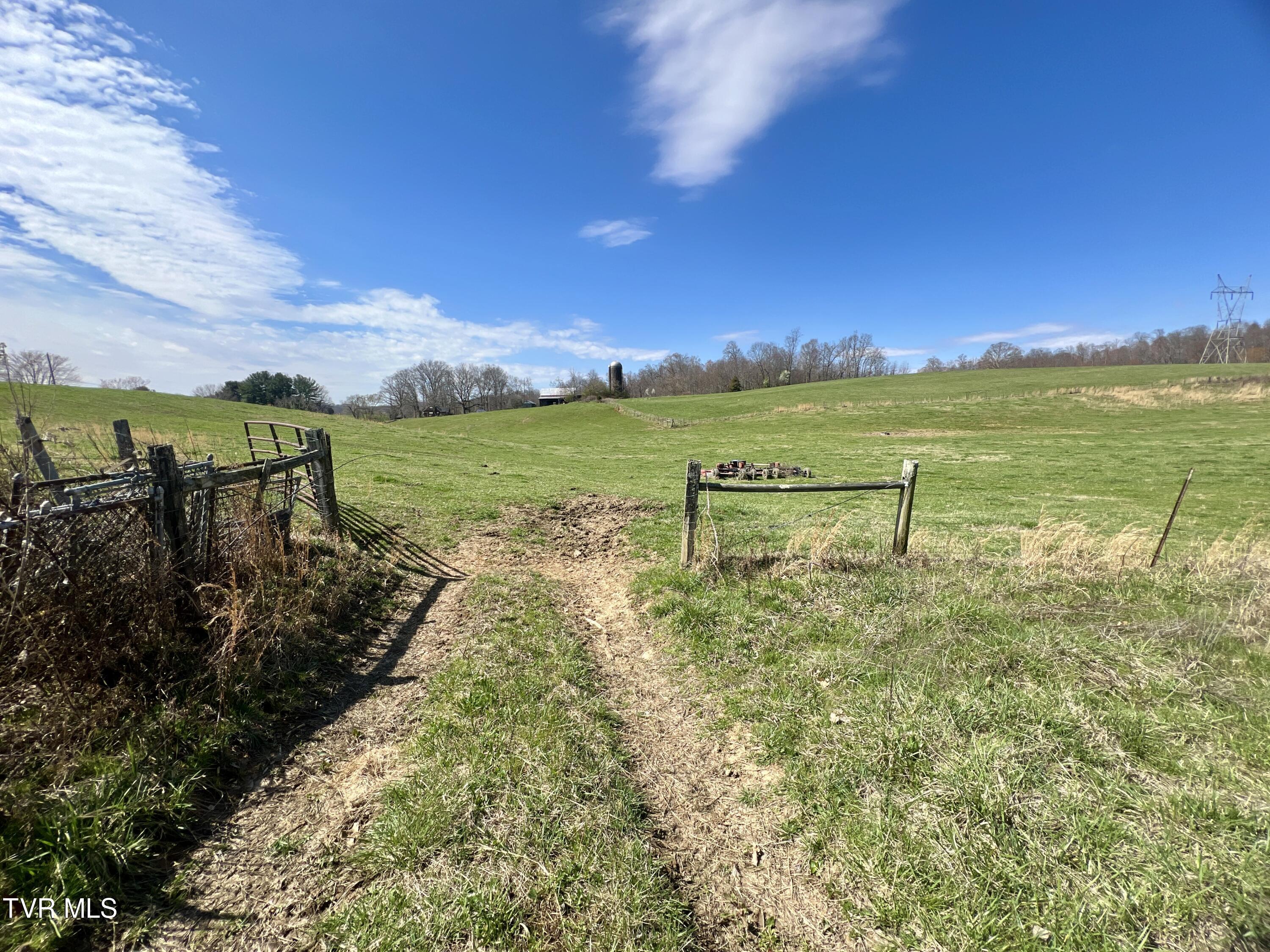 93 Fall Branch Fall Branch, TN 37656 - Photo 13 of 73 _Pic13 (15)