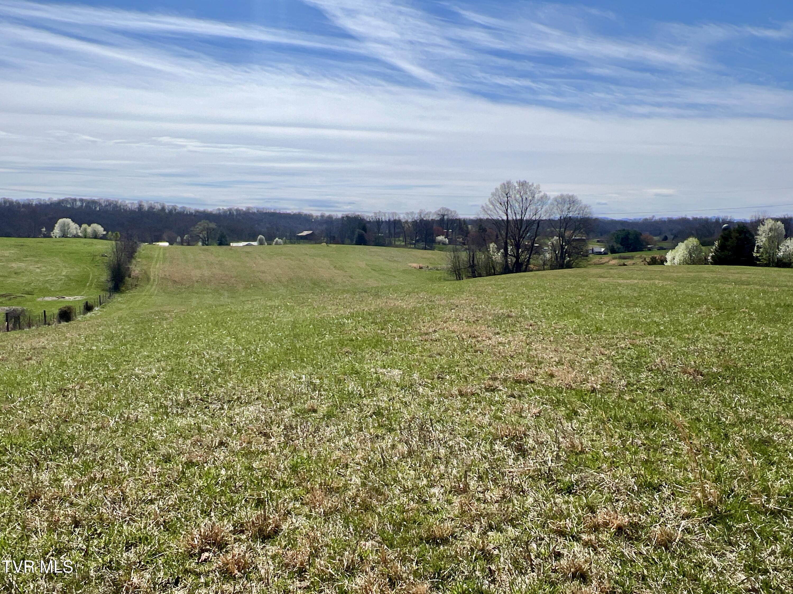 93 Fall Branch Fall Branch, TN 37656 - Photo 14 of 73 _Pic14 (15)