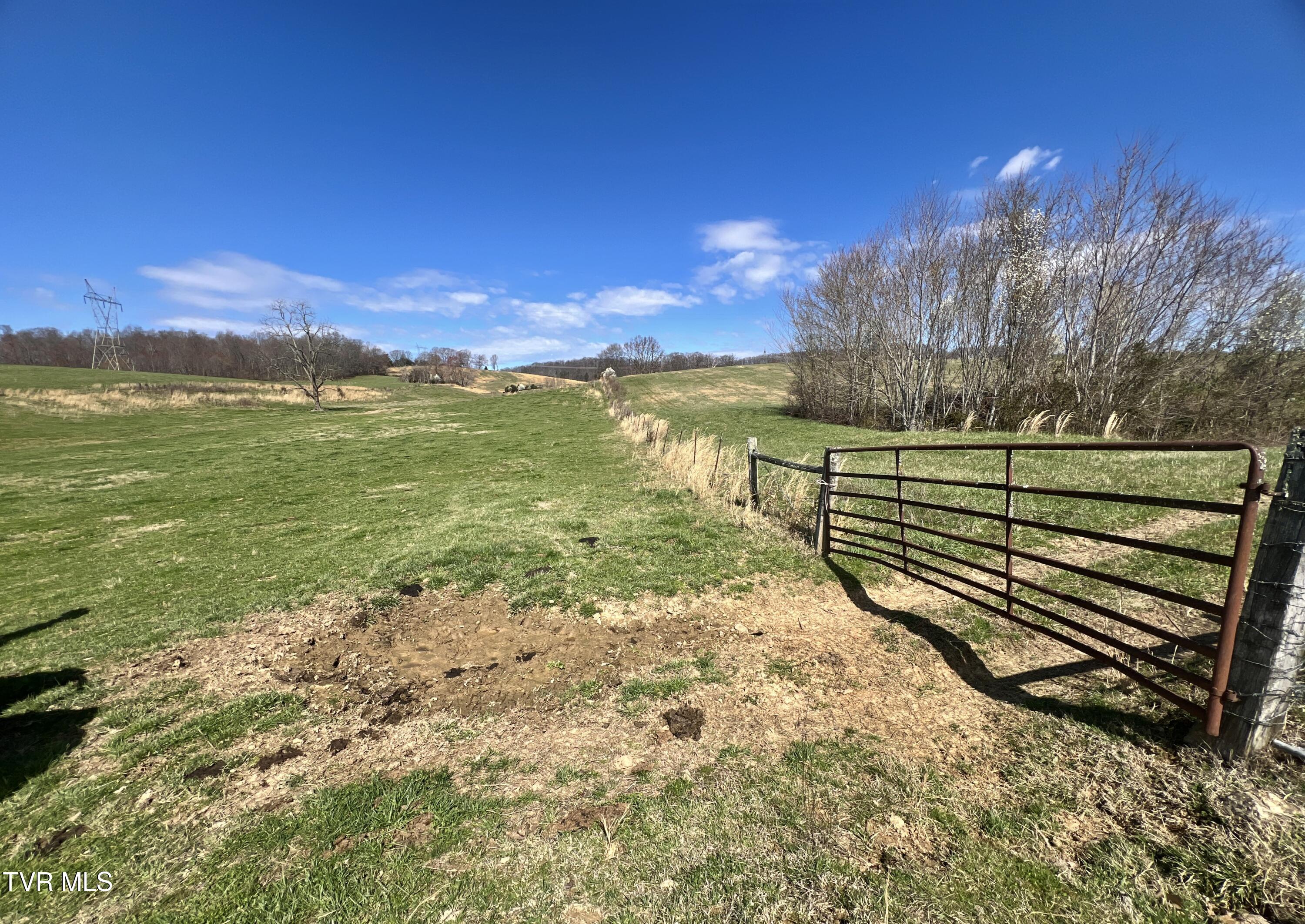 93 Fall Branch Fall Branch, TN 37656 - Photo 15 of 73 _Pic15 (14)