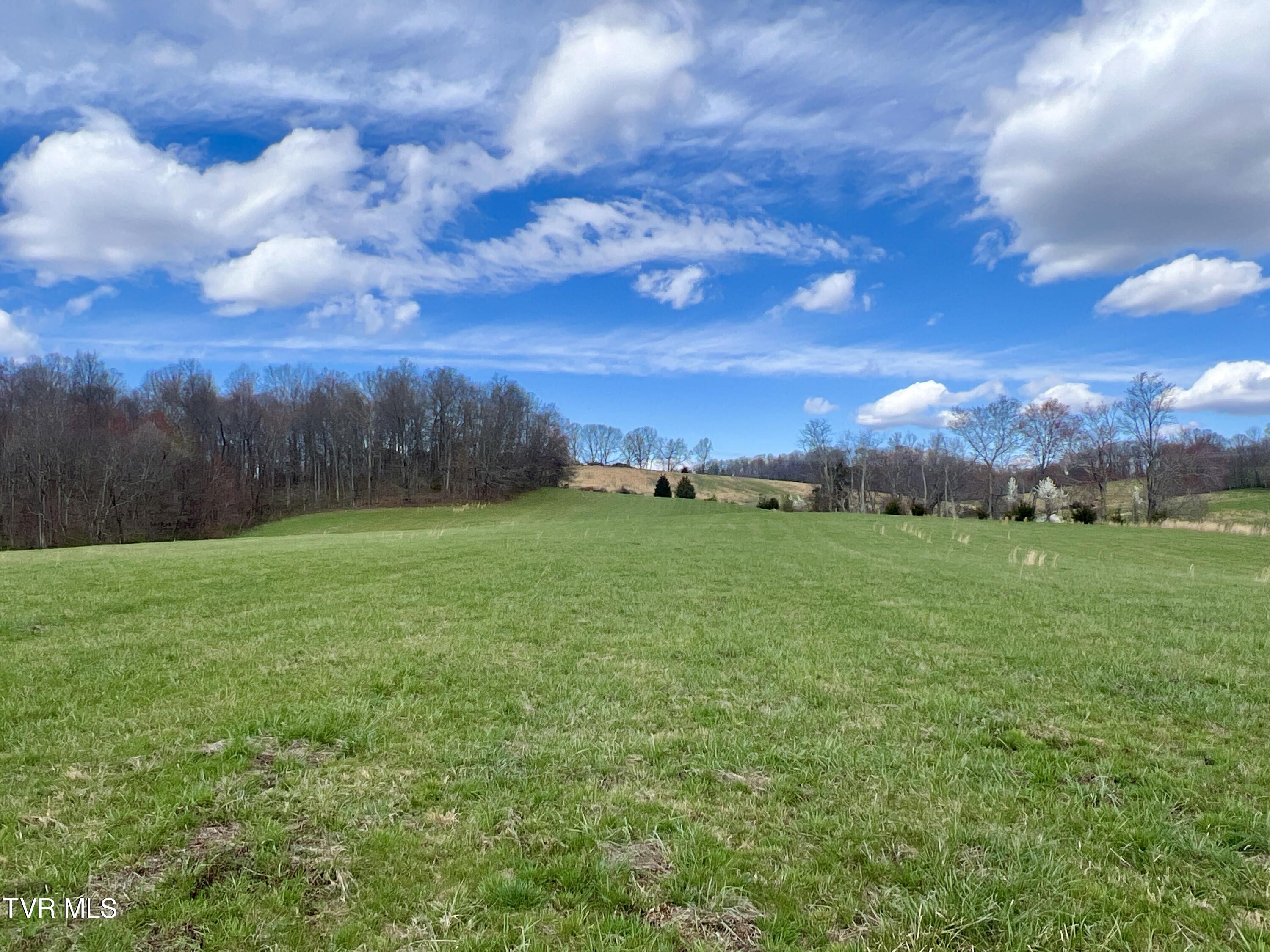 93 Fall Branch Fall Branch, TN 37656 - Photo 17 of 73 _Pic17 (15)