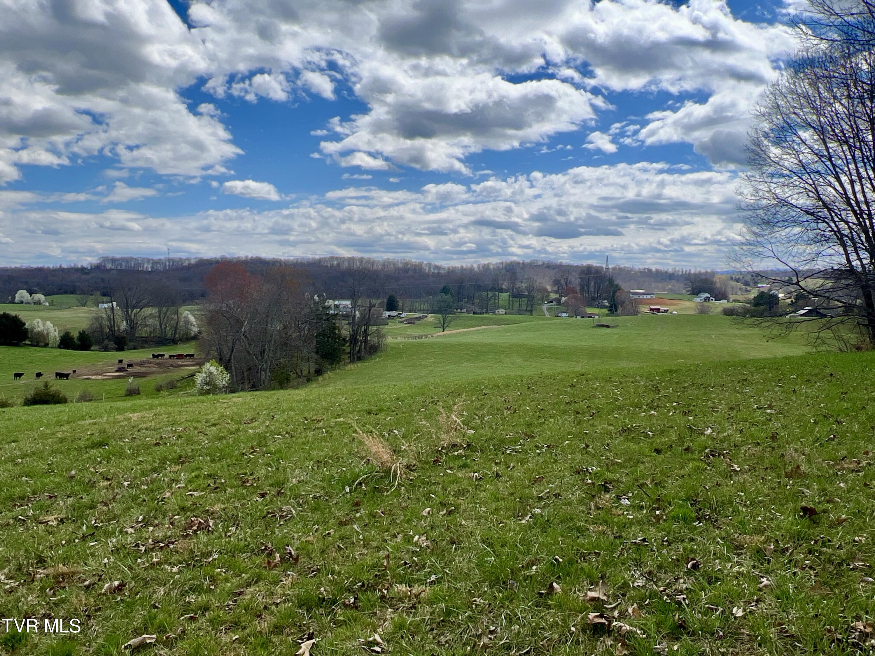 93 Fall Branch Fall Branch, TN 37656 - Photo 18 of 73 _Pic18 (13)