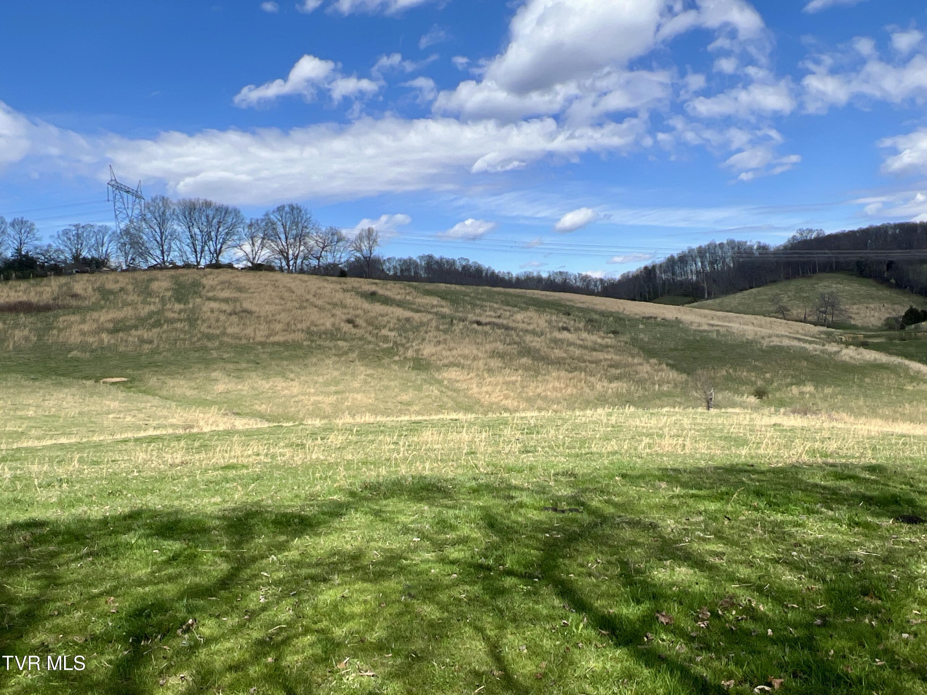 93 Fall Branch Fall Branch, TN 37656 - Photo 19 of 73 _Pic19 (14)