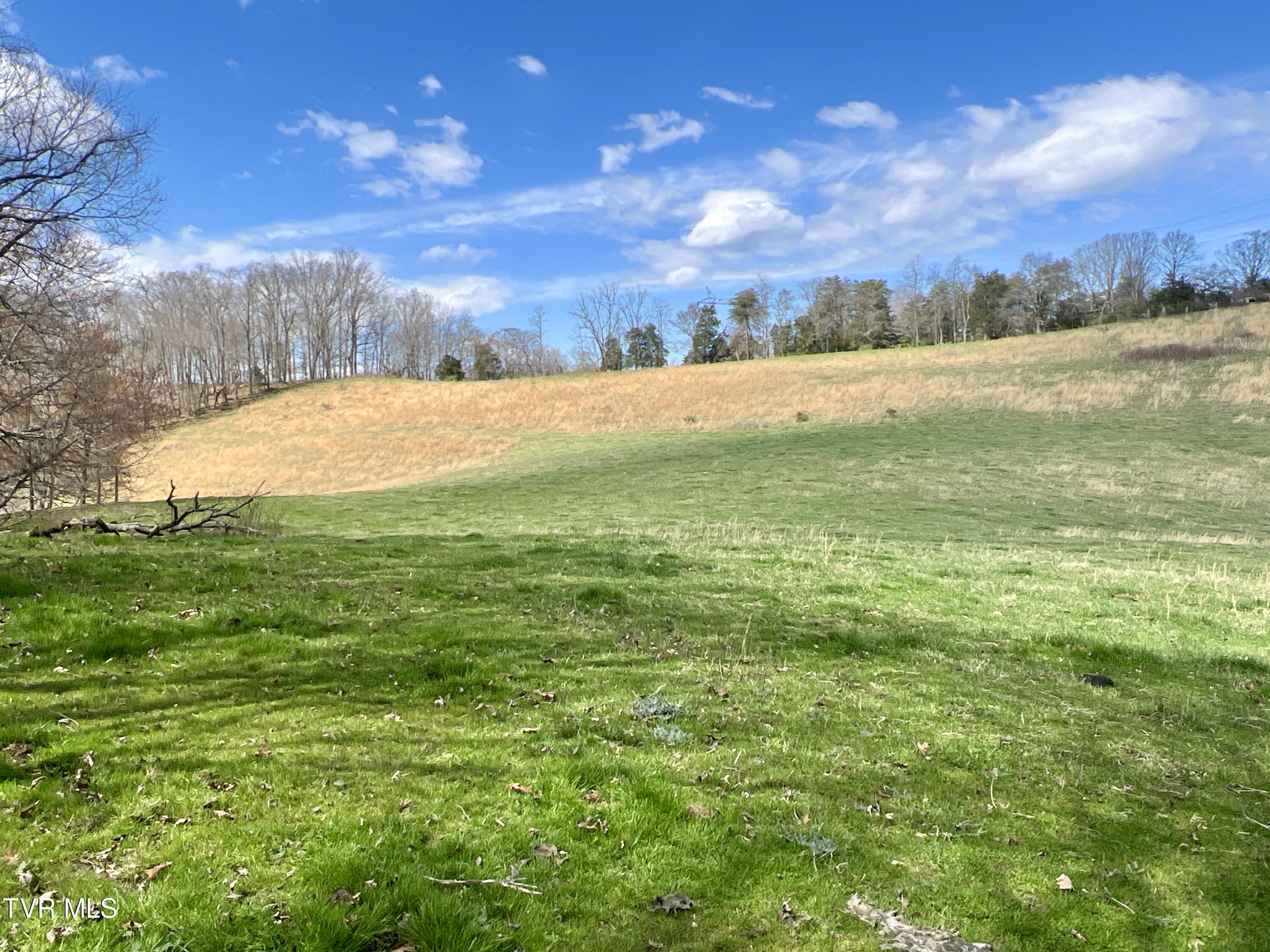 93 Fall Branch Fall Branch, TN 37656 - Photo 20 of 73 _Pic20 (12)