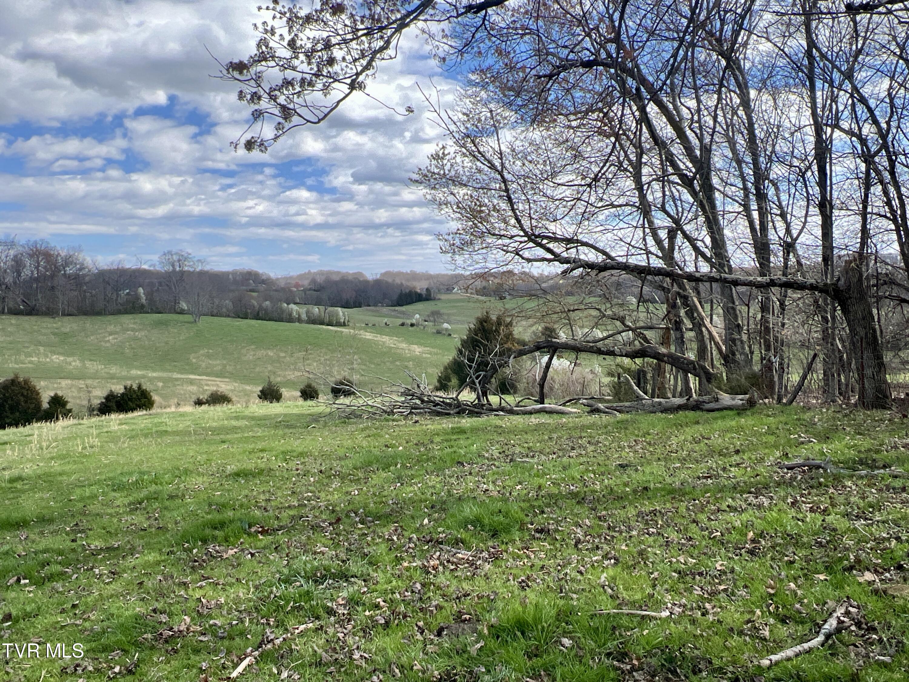 93 Fall Branch Fall Branch, TN 37656 - Photo 22 of 73 _Pic22 (11)