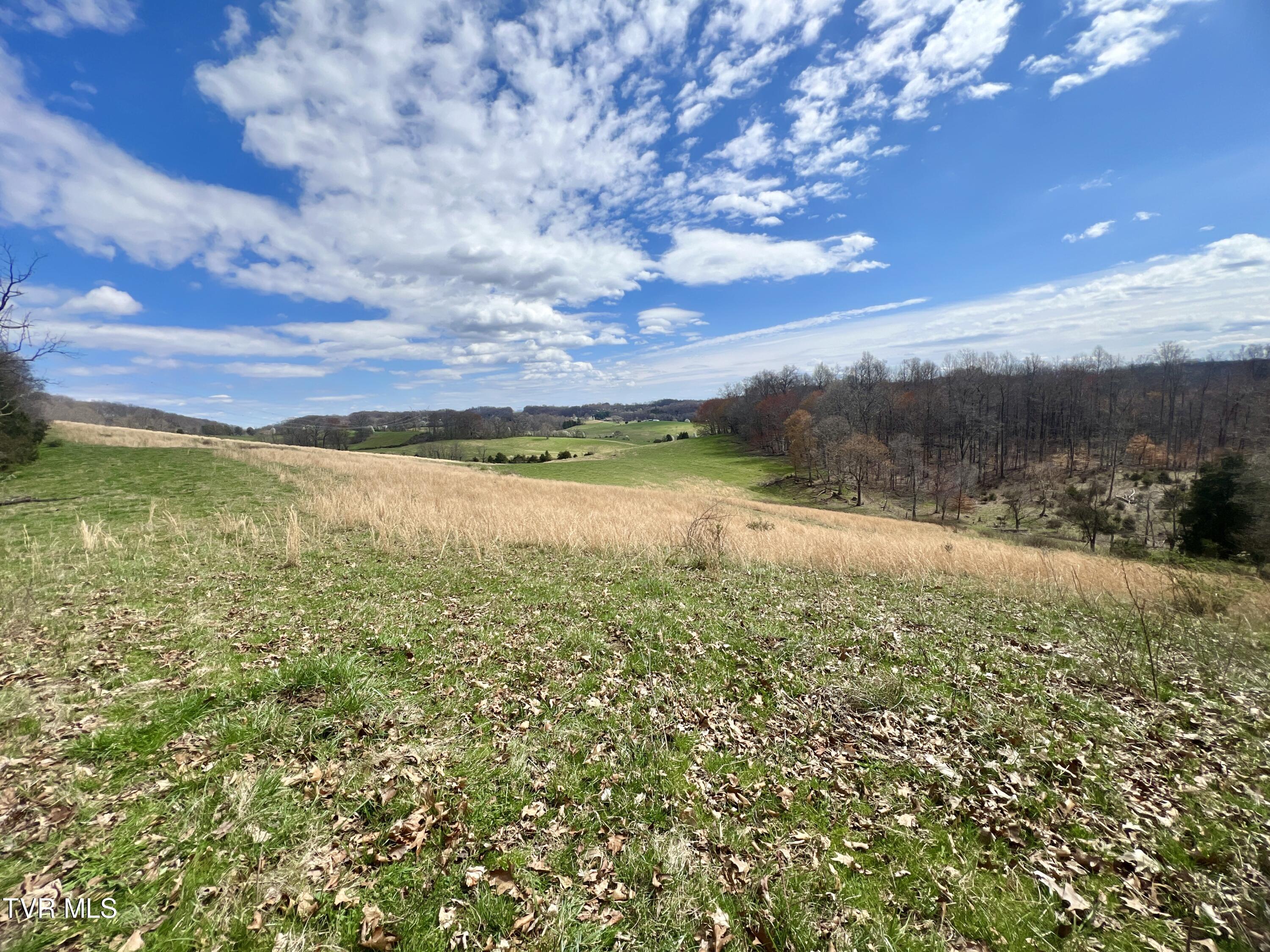 93 Fall Branch Fall Branch, TN 37656 - Photo 24 of 73 _Pic24 (11)