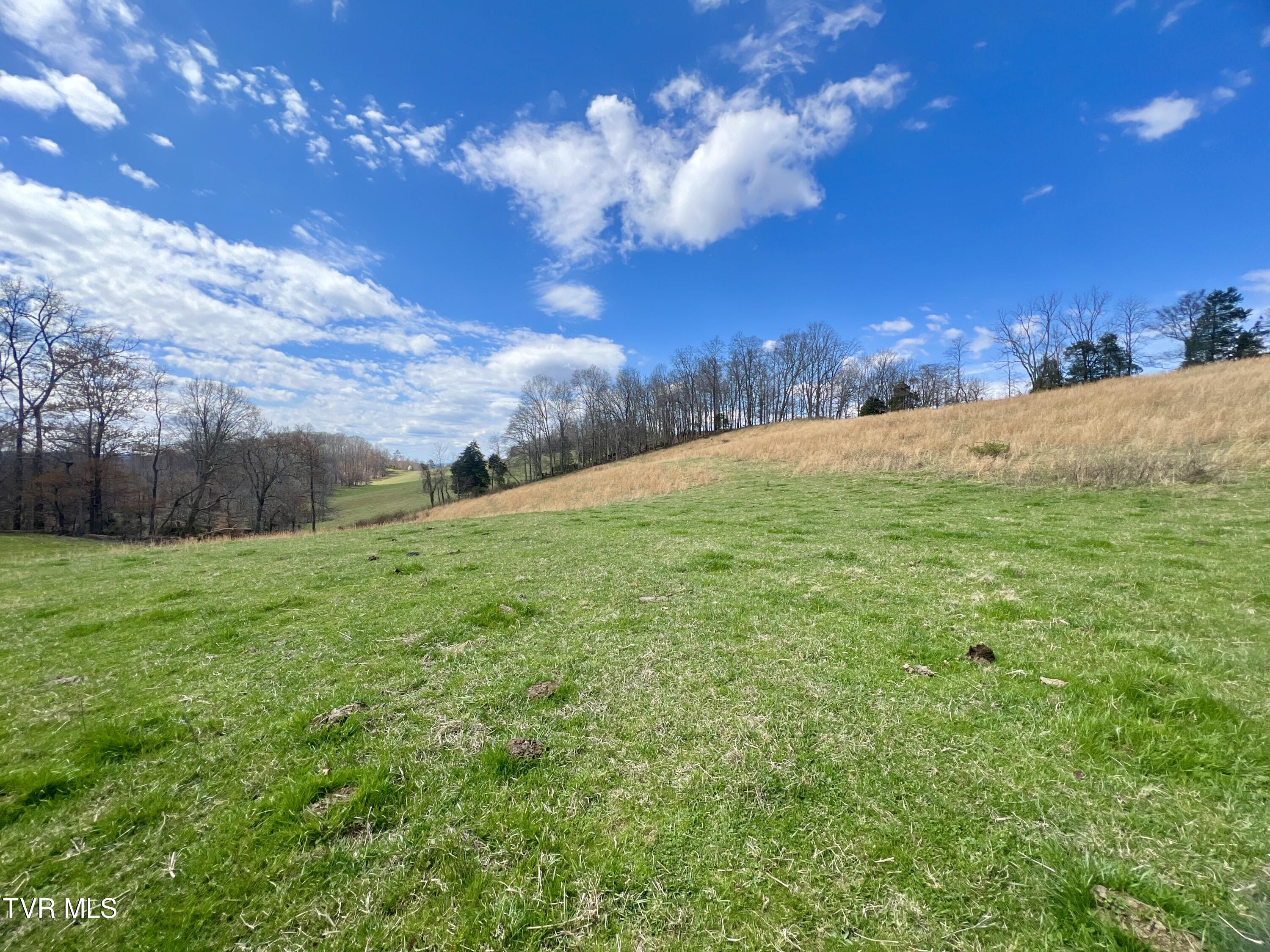 93 Fall Branch Fall Branch, TN 37656 - Photo 25 of 73 _Pic25 (12)