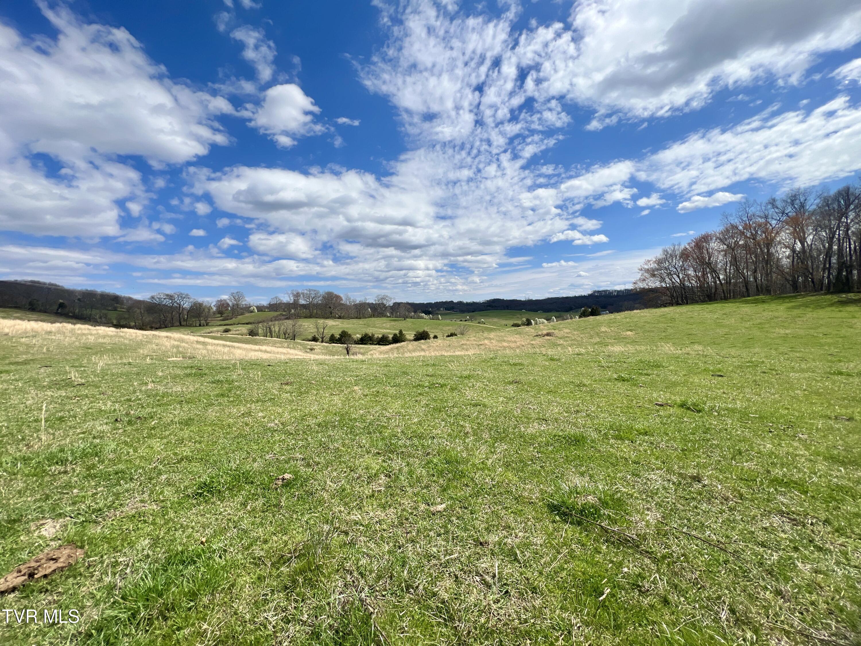 93 Fall Branch Fall Branch, TN 37656 - Photo 26 of 73 _Pic26 (11)