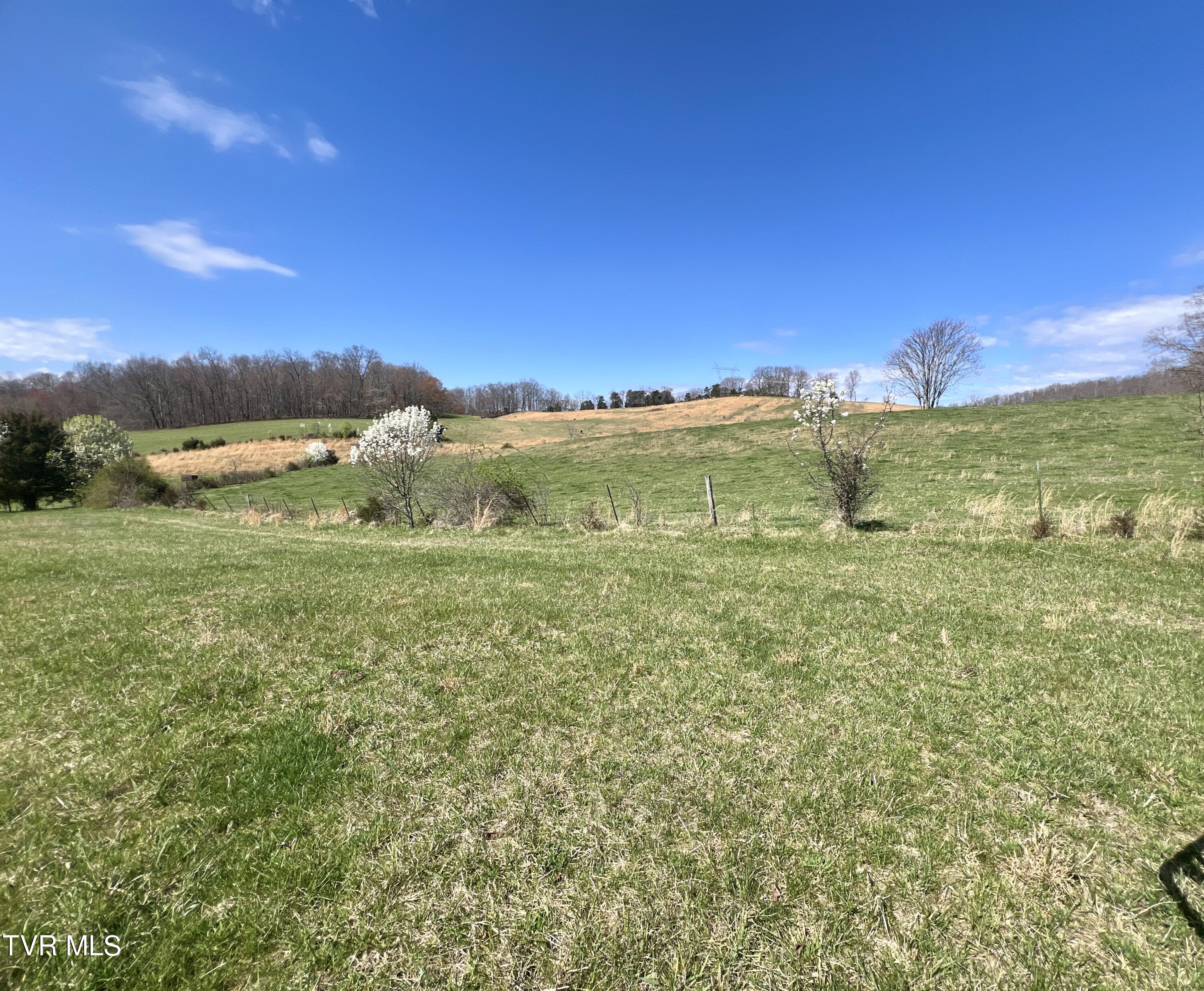 93 Fall Branch Fall Branch, TN 37656 - Photo 27 of 73 _Pic27 (12)