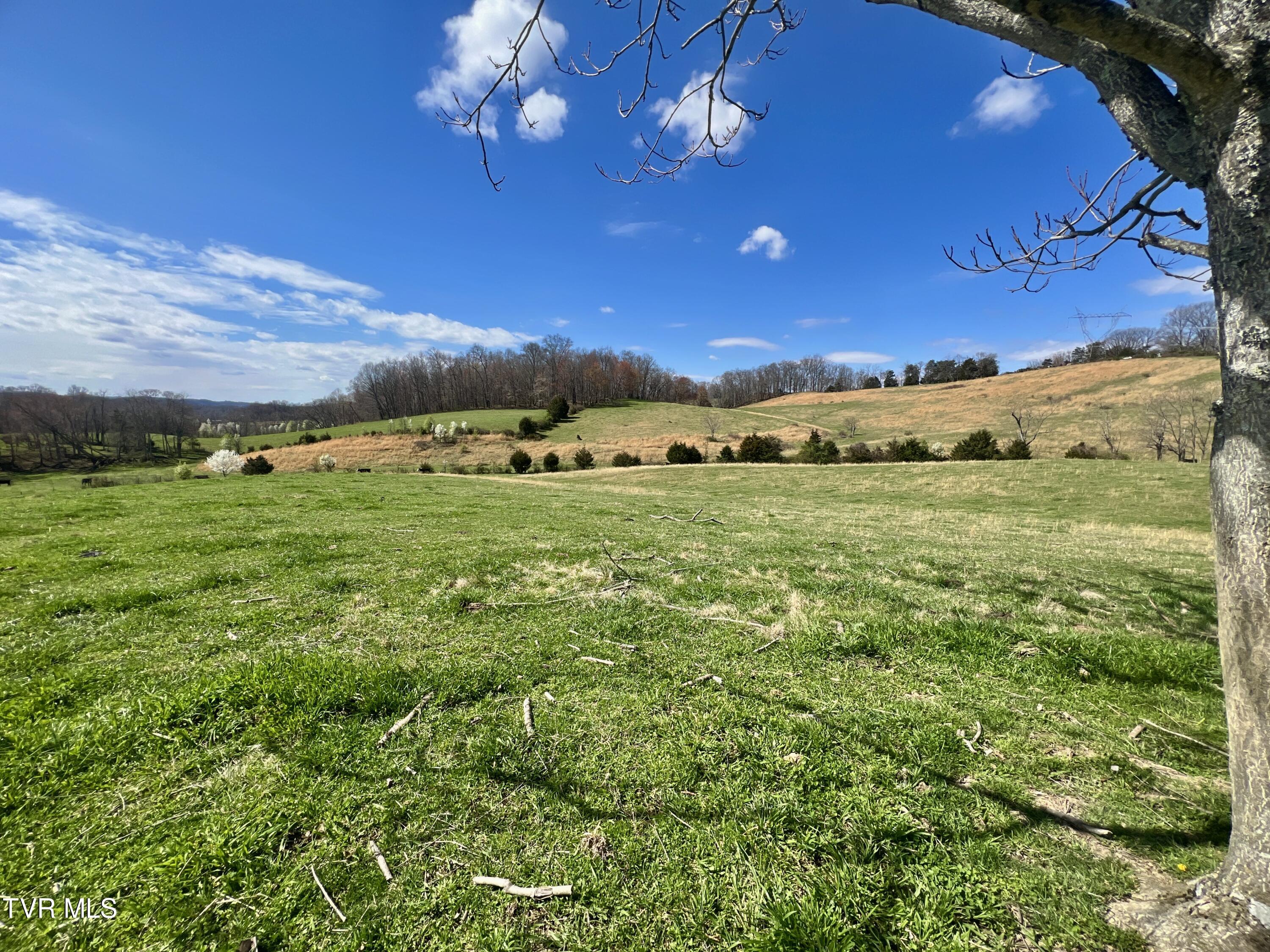 93 Fall Branch Fall Branch, TN 37656 - Photo 28 of 73 _Pic28 (11)