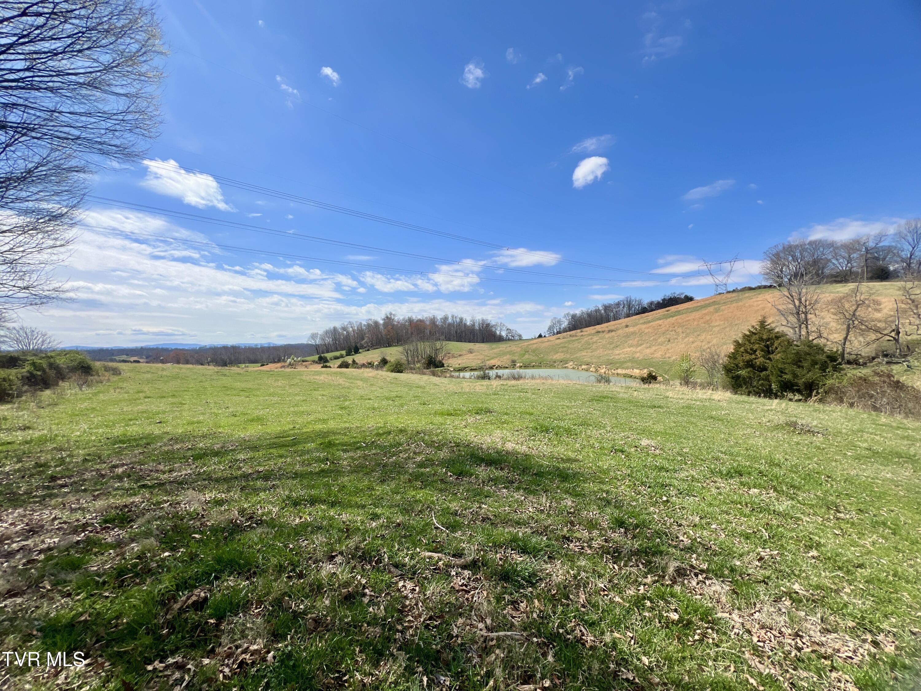 93 Fall Branch Fall Branch, TN 37656 - Photo 29 of 73 _Pic29 (11)