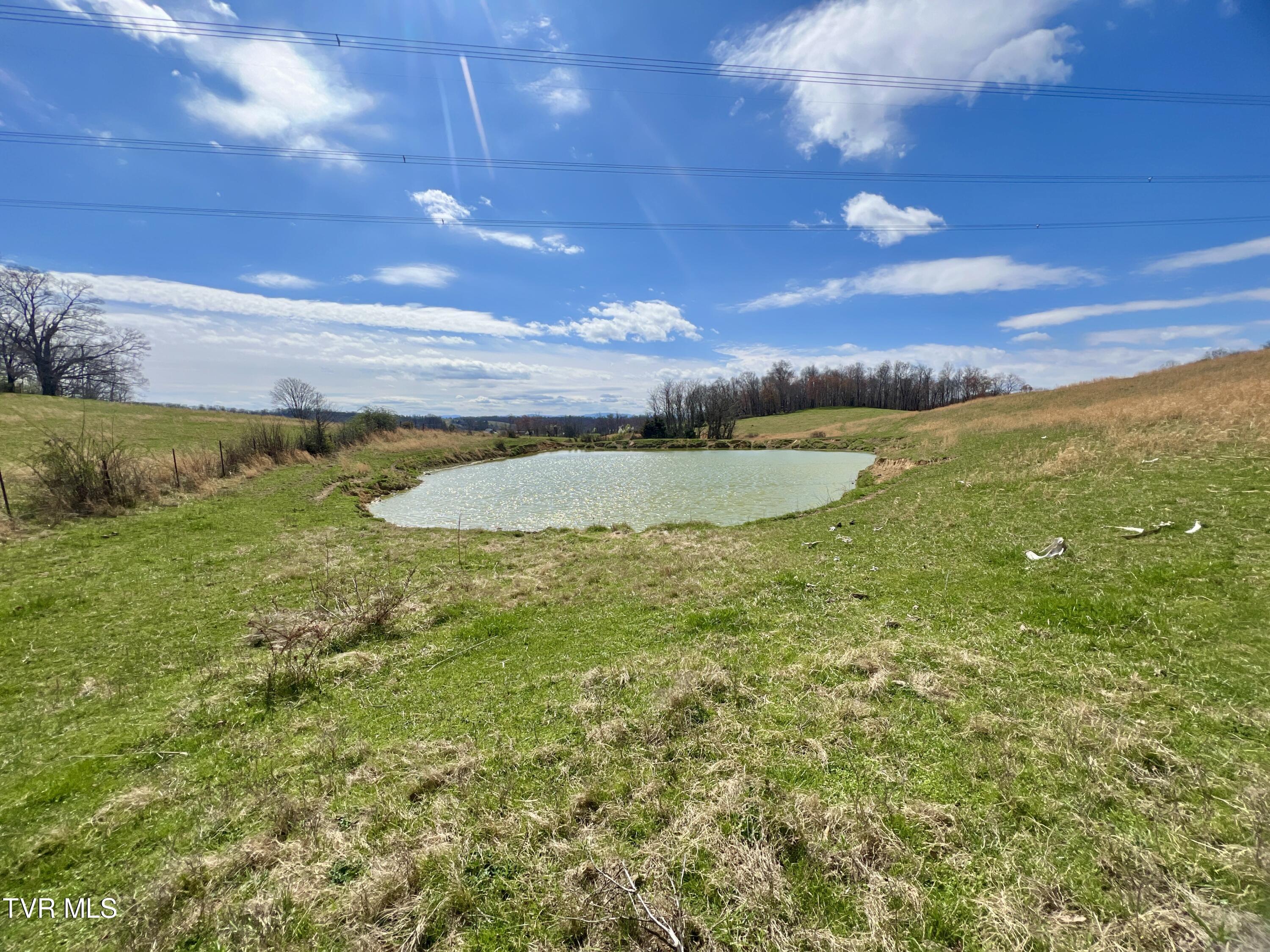 93 Fall Branch Fall Branch, TN 37656 - Photo 30 of 73 _Pic30 (11)