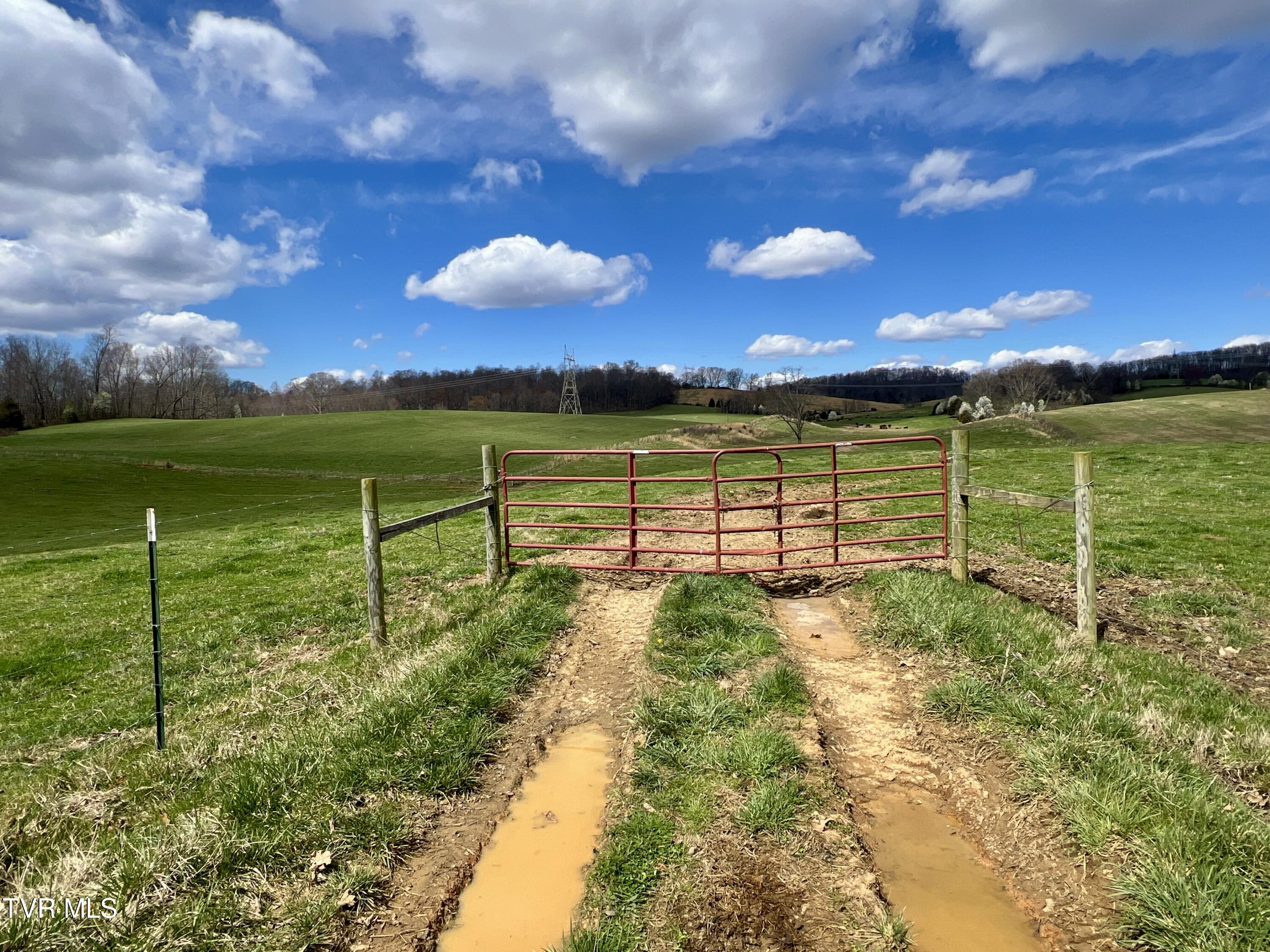 93 Fall Branch Fall Branch, TN 37656 - Photo 3 of 73 _Pic3 (34)