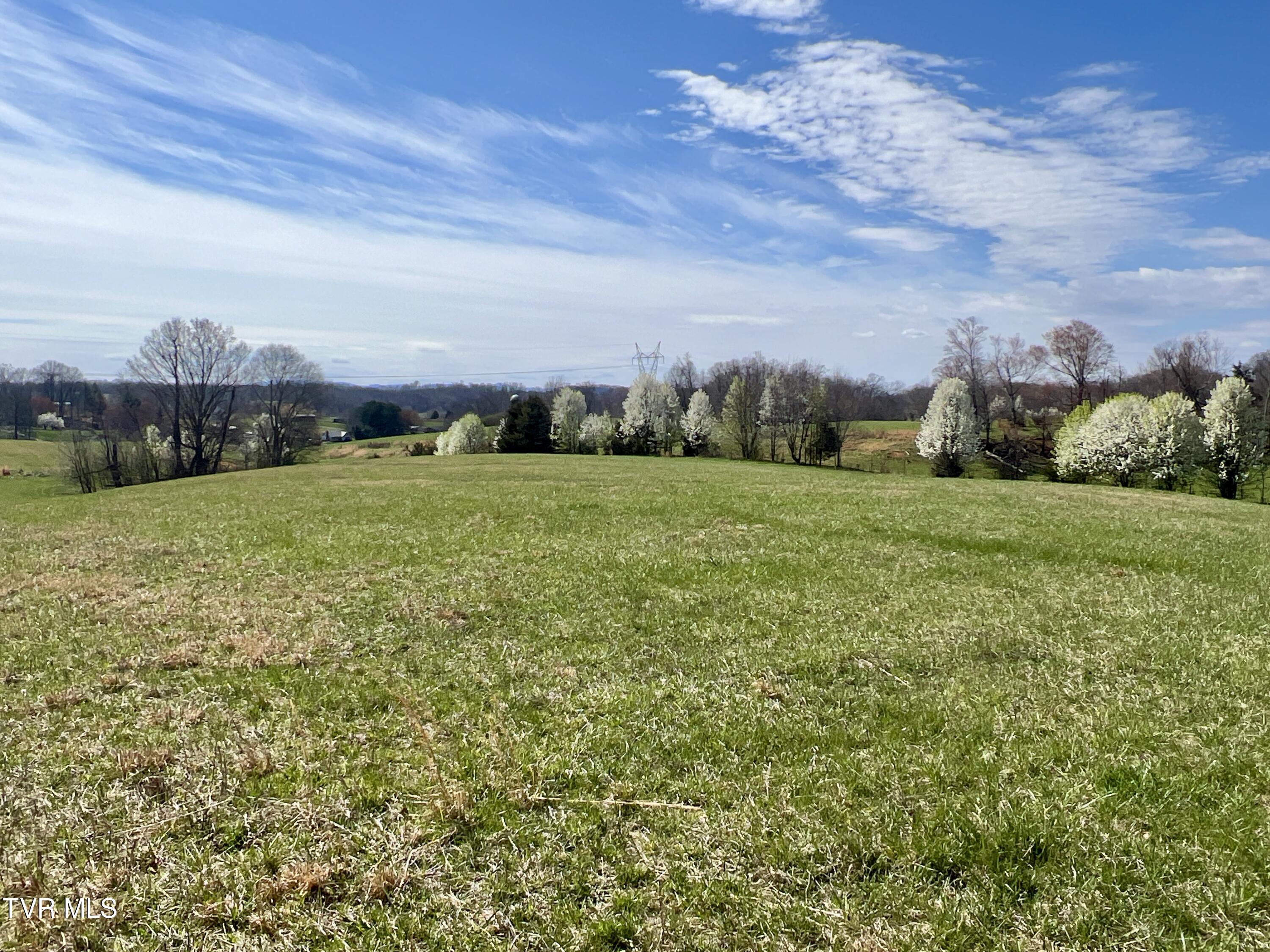 93 Fall Branch Fall Branch, TN 37656 - Photo 31 of 73 _Pic31 (11)