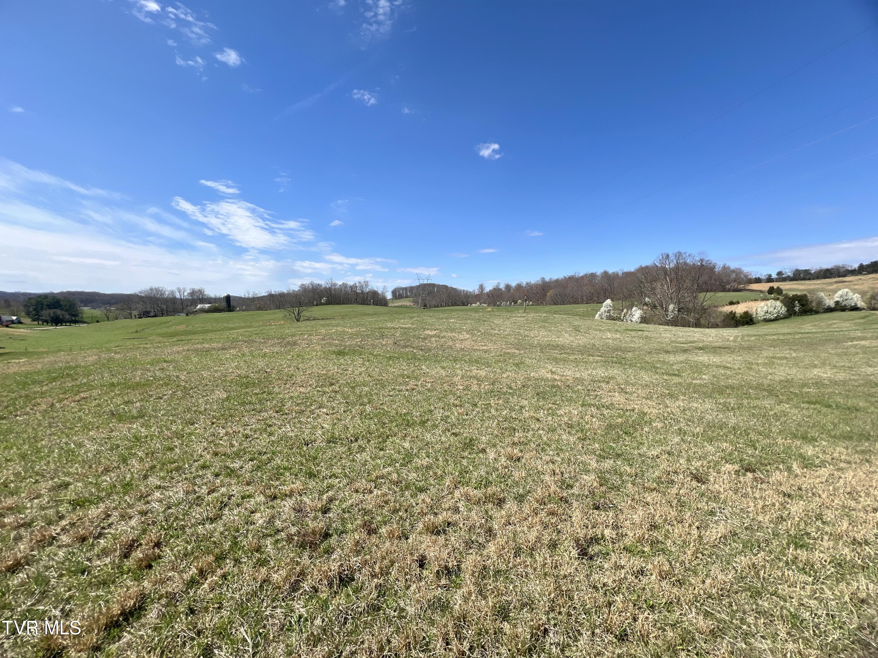 93 Fall Branch Fall Branch, TN 37656 - Photo 33 of 73 _Pic33 (11)