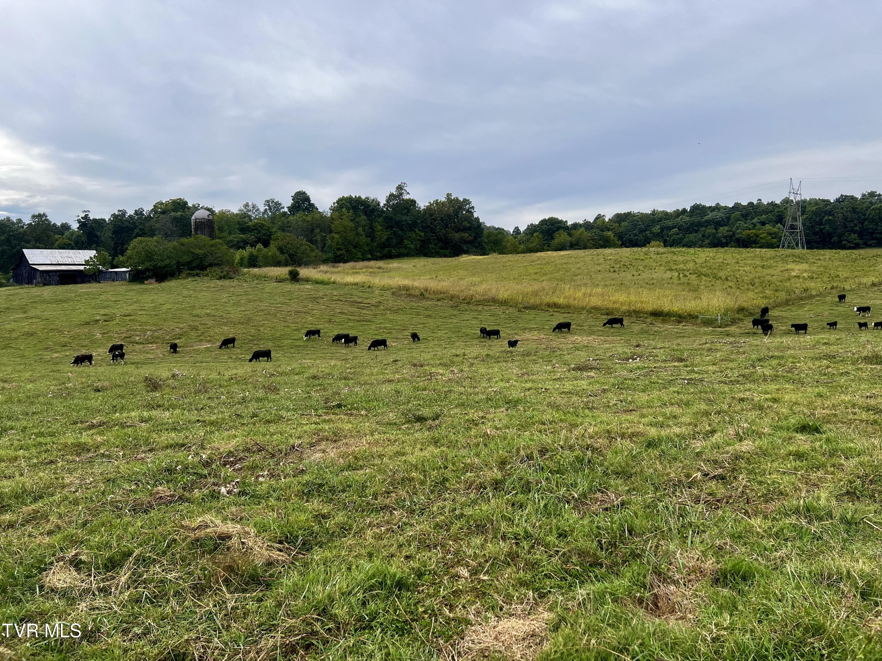 93 Fall Branch Fall Branch, TN 37656 - Photo 34 of 73 _Pic34 (11)