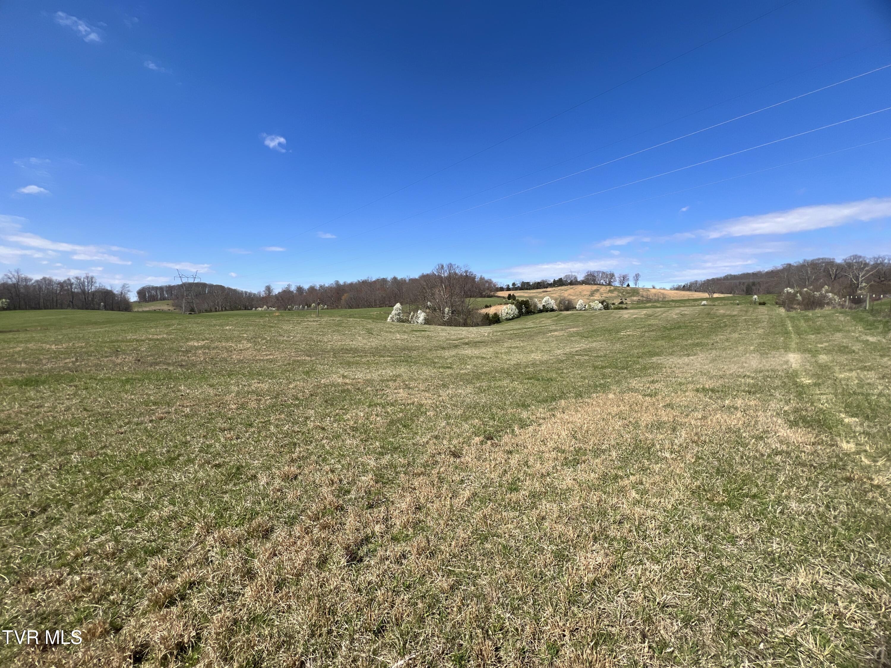 93 Fall Branch Fall Branch, TN 37656 - Photo 36 of 73 _Pic36 (11)