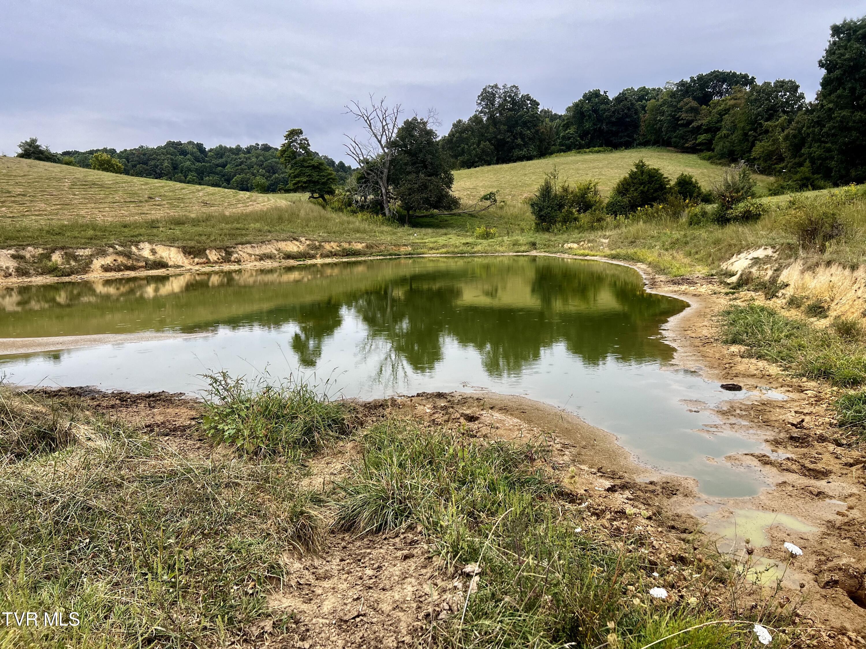 93 Fall Branch Fall Branch, TN 37656 - Photo 37 of 73 _Pic37 (11)