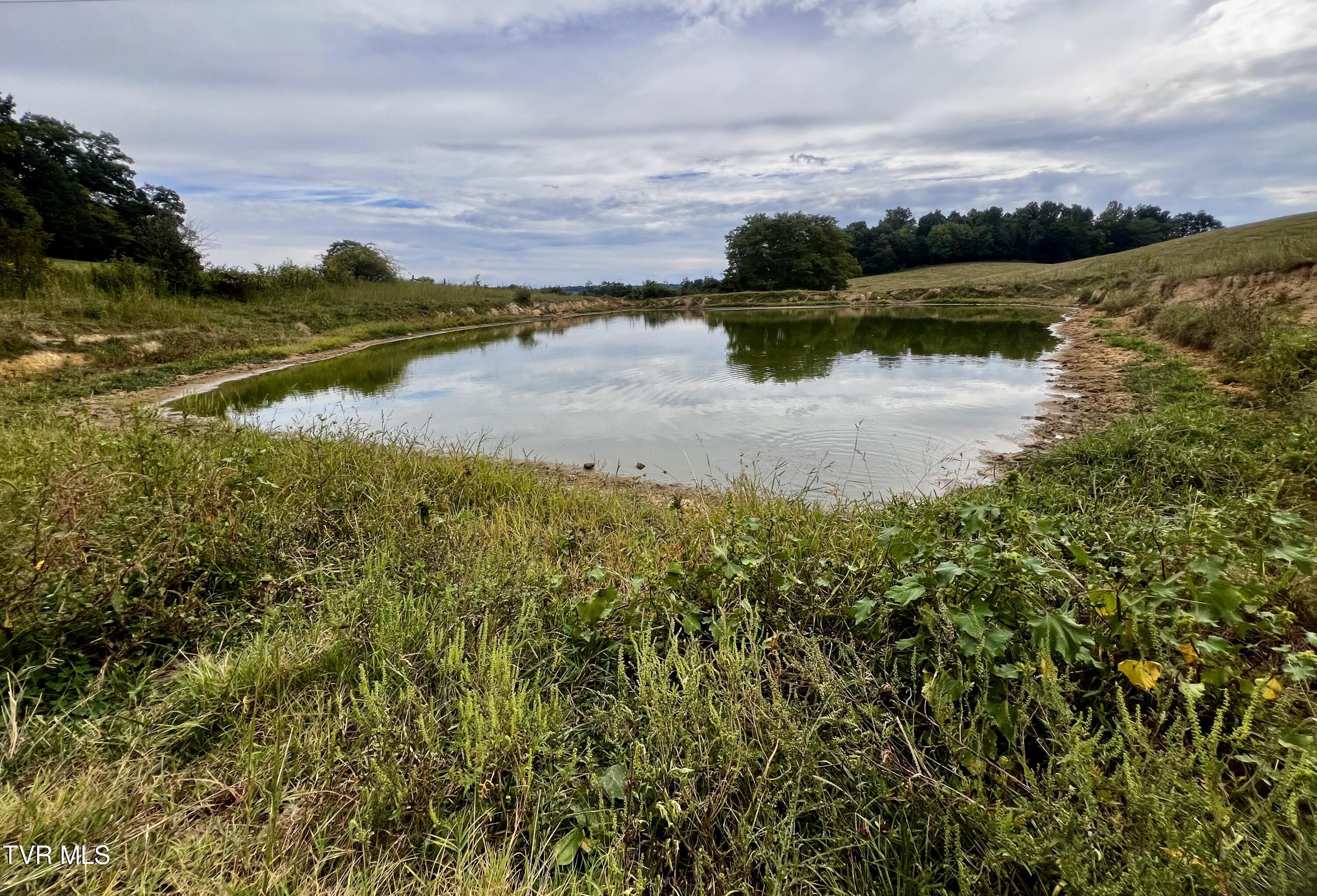 93 Fall Branch Fall Branch, TN 37656 - Photo 38 of 73 _Pic38 (11)