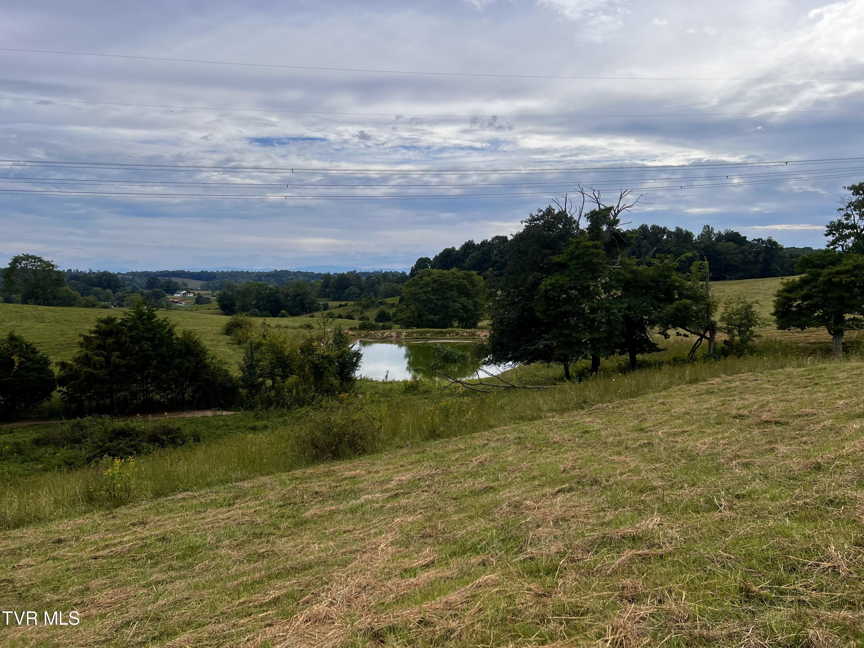 93 Fall Branch Fall Branch, TN 37656 - Photo 39 of 73 _Pic39 (12)