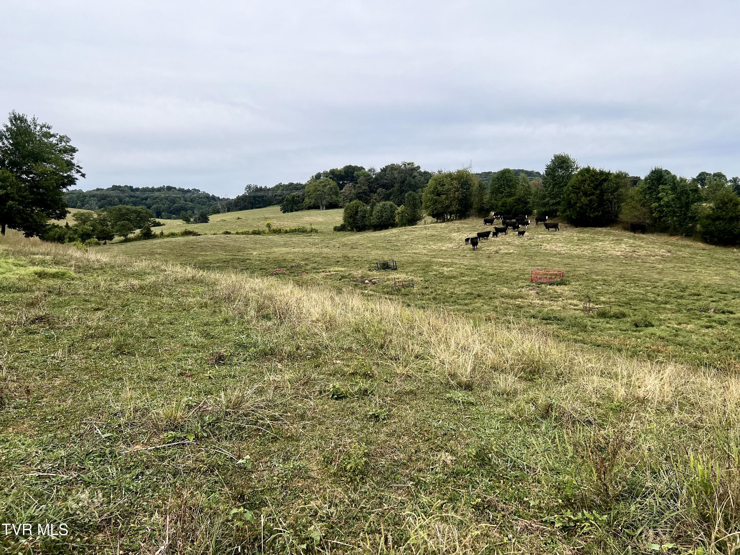 93 Fall Branch Fall Branch, TN 37656 - Photo 40 of 73 _Pic40 (10)