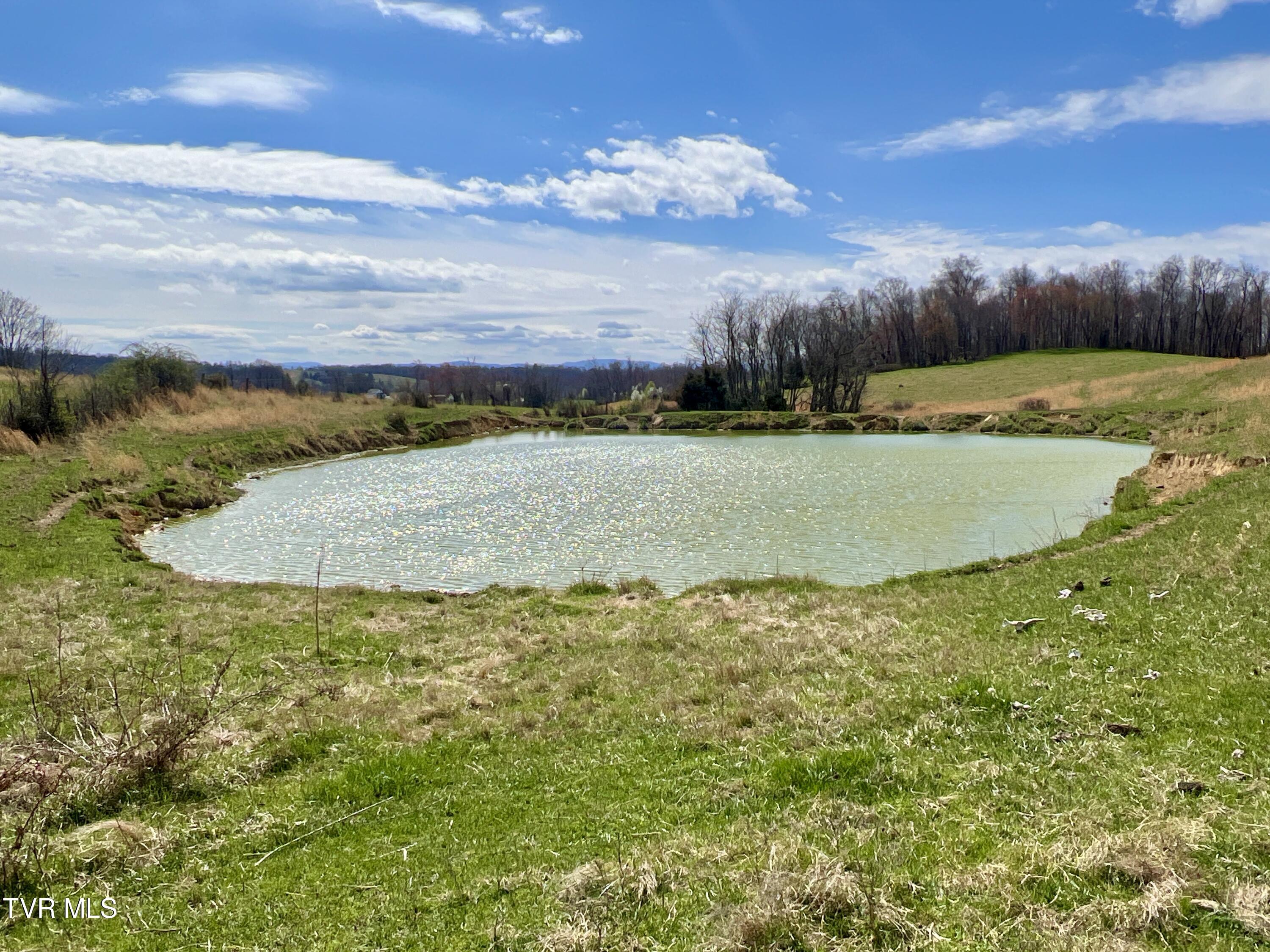 93 Fall Branch Fall Branch, TN 37656 - Photo 4 of 73 _Pic4 (30)