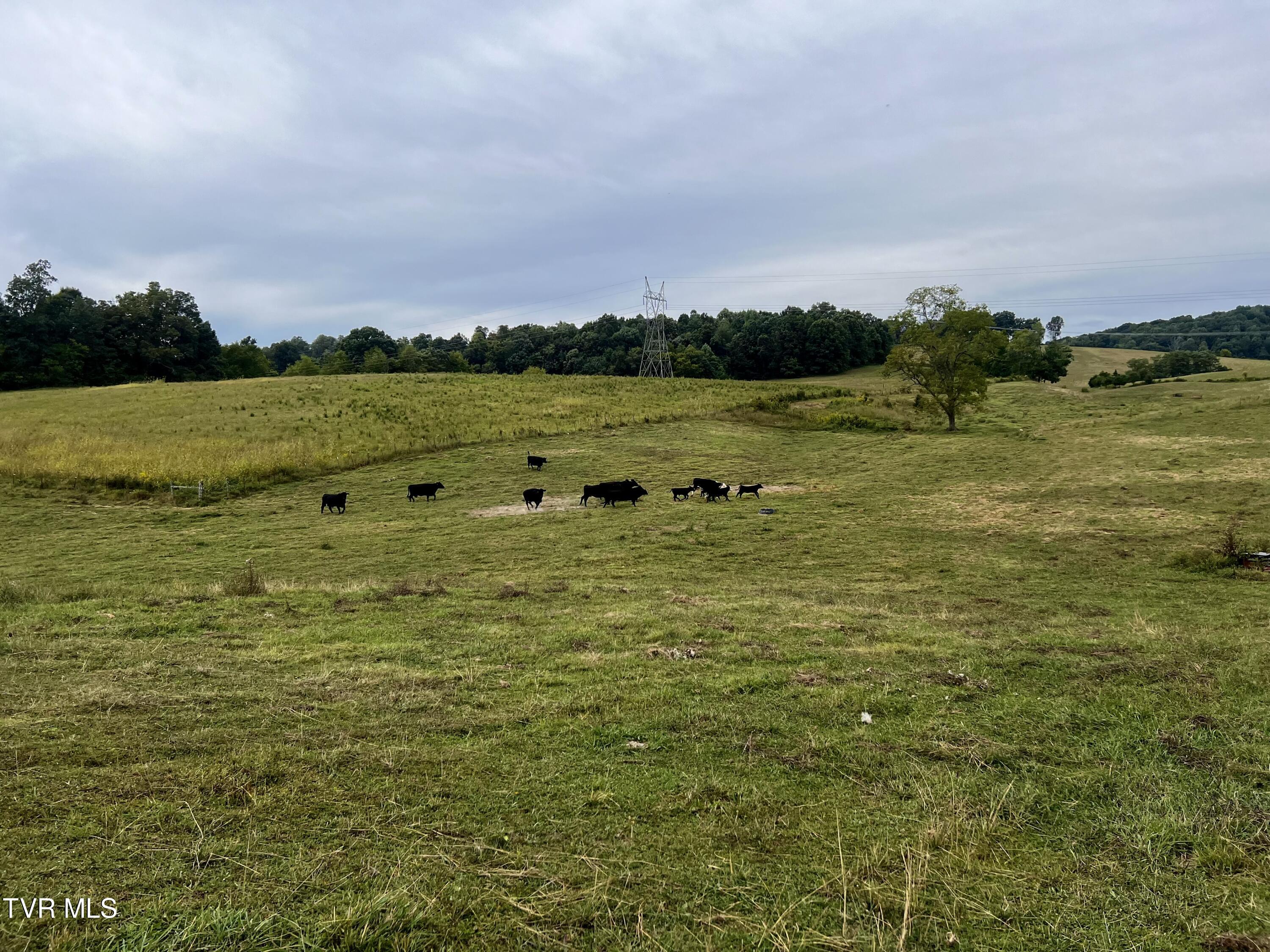 93 Fall Branch Fall Branch, TN 37656 - Photo 41 of 73 _Pic41 (11)