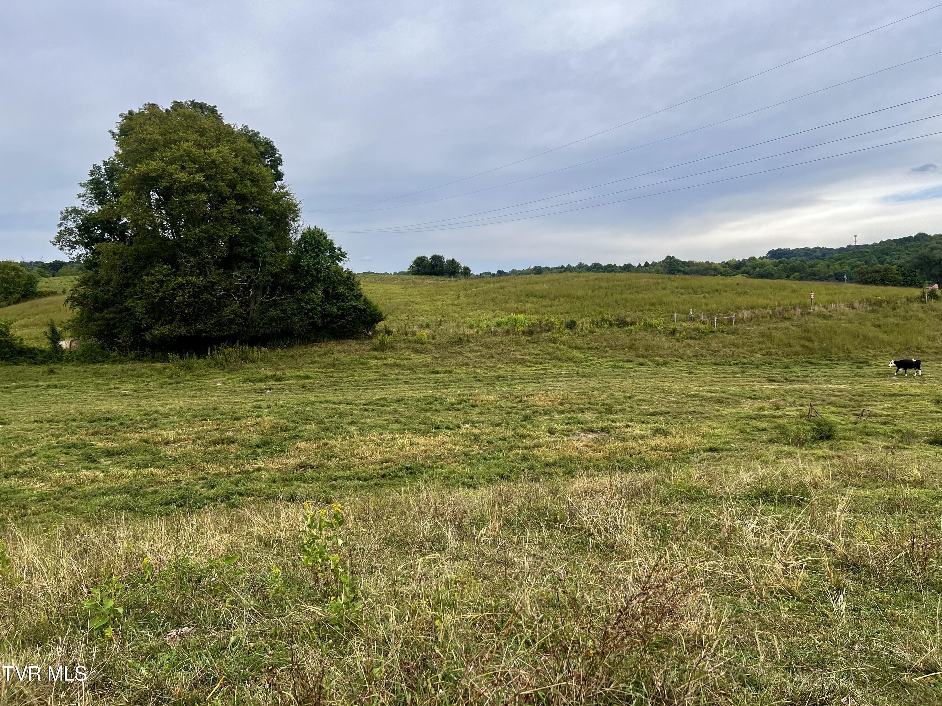 93 Fall Branch Fall Branch, TN 37656 - Photo 42 of 73 _Pic42 (10)