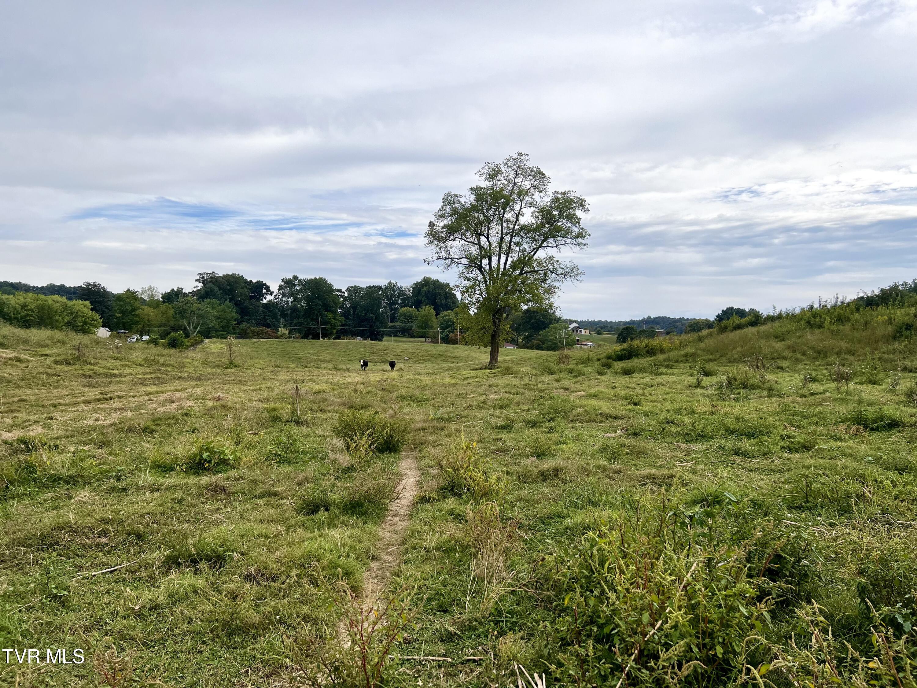 93 Fall Branch Fall Branch, TN 37656 - Photo 43 of 73 _Pic43 (10)