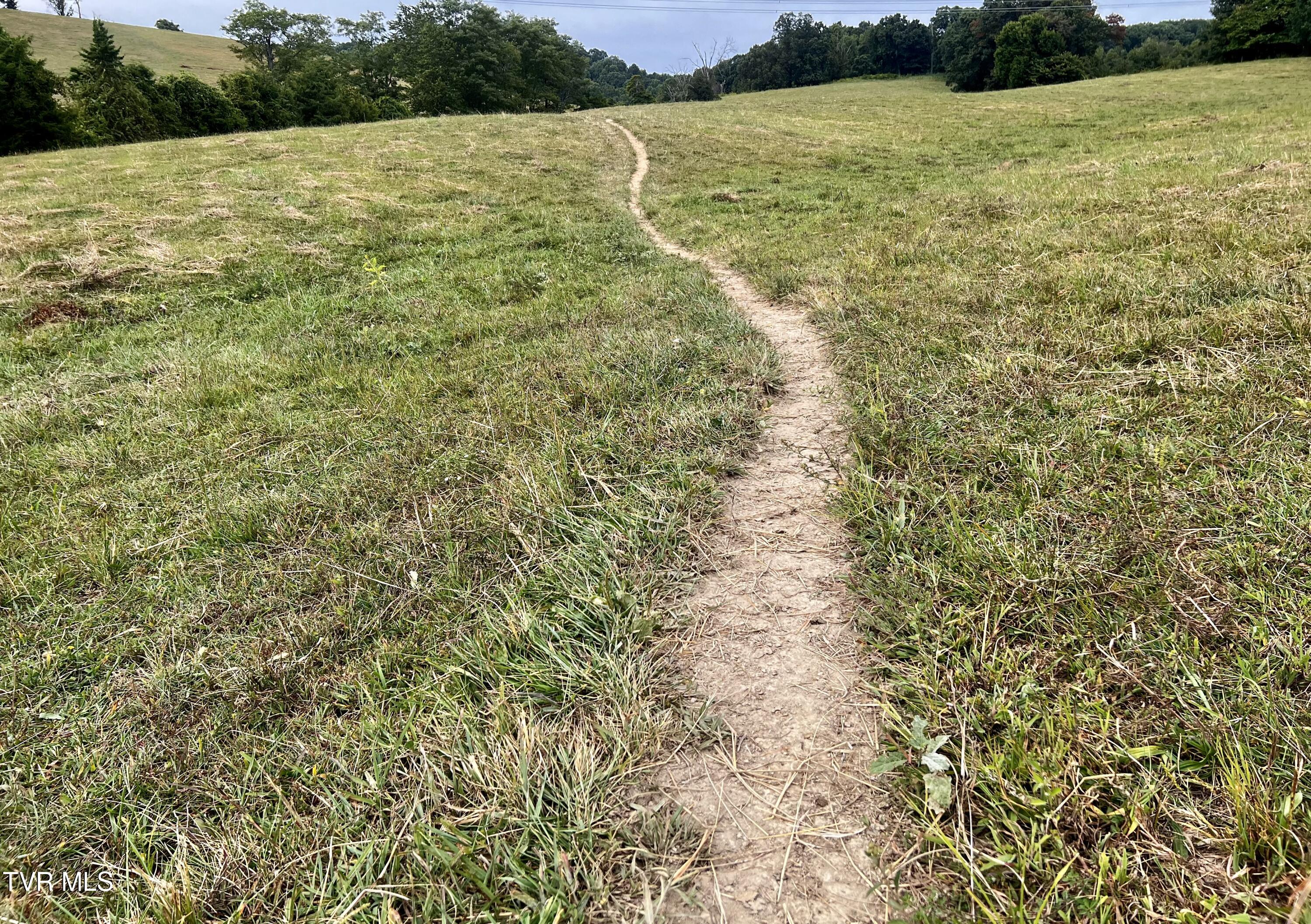 93 Fall Branch Fall Branch, TN 37656 - Photo 44 of 73 _Pic44 (9)