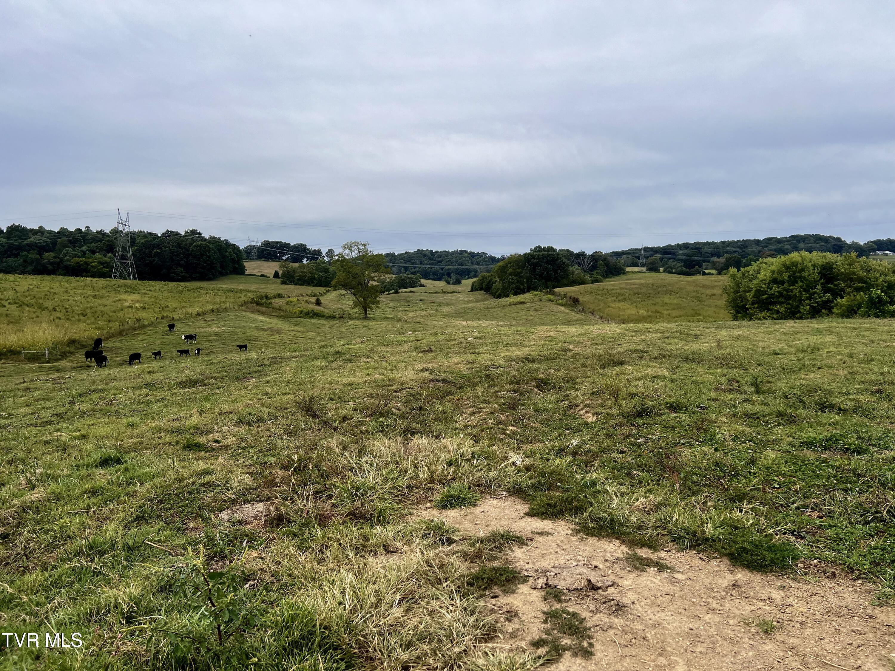 93 Fall Branch Fall Branch, TN 37656 - Photo 45 of 73 _Pic45 (8)