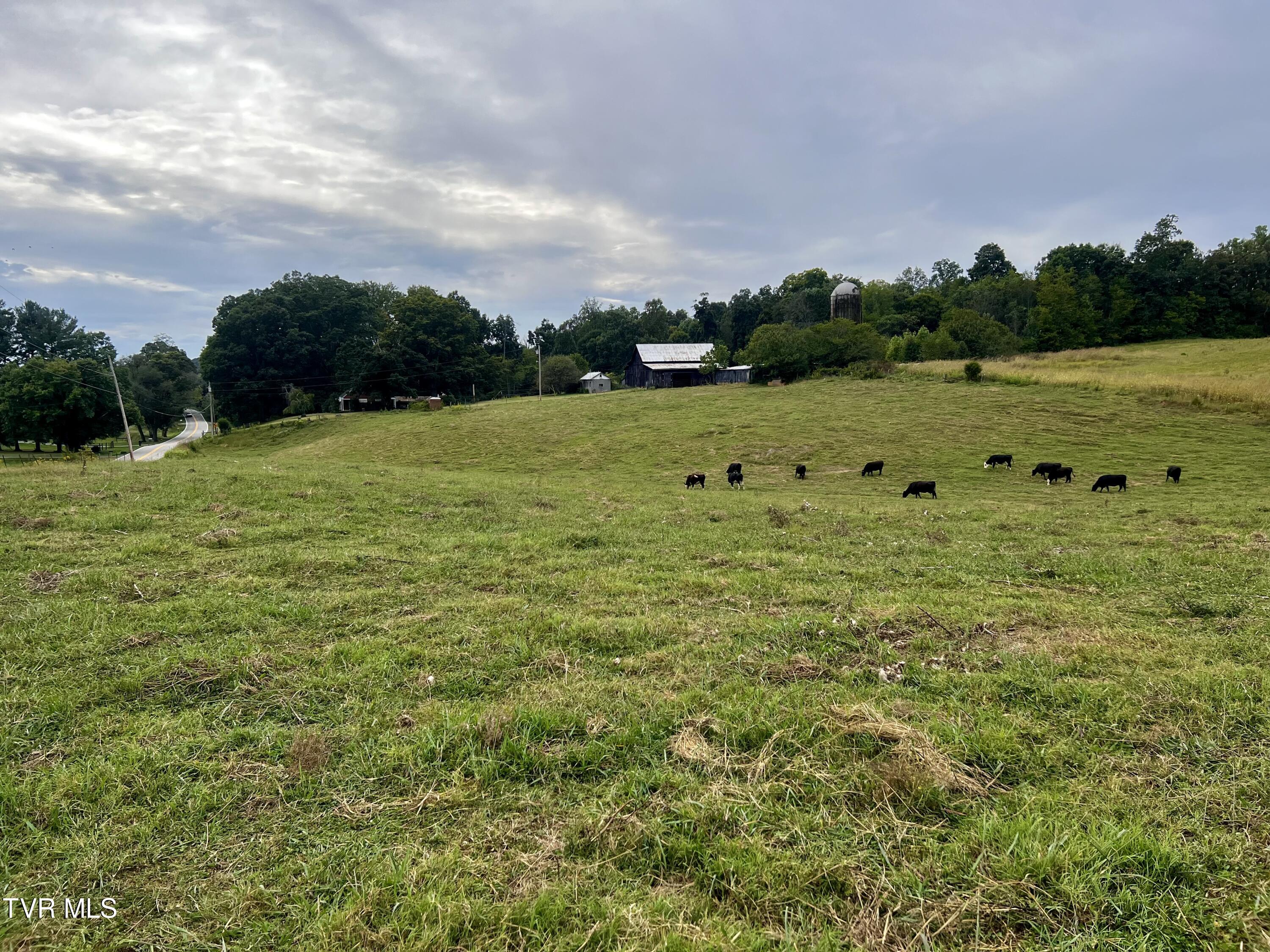 93 Fall Branch Fall Branch, TN 37656 - Photo 46 of 73 _Pic46 (8)