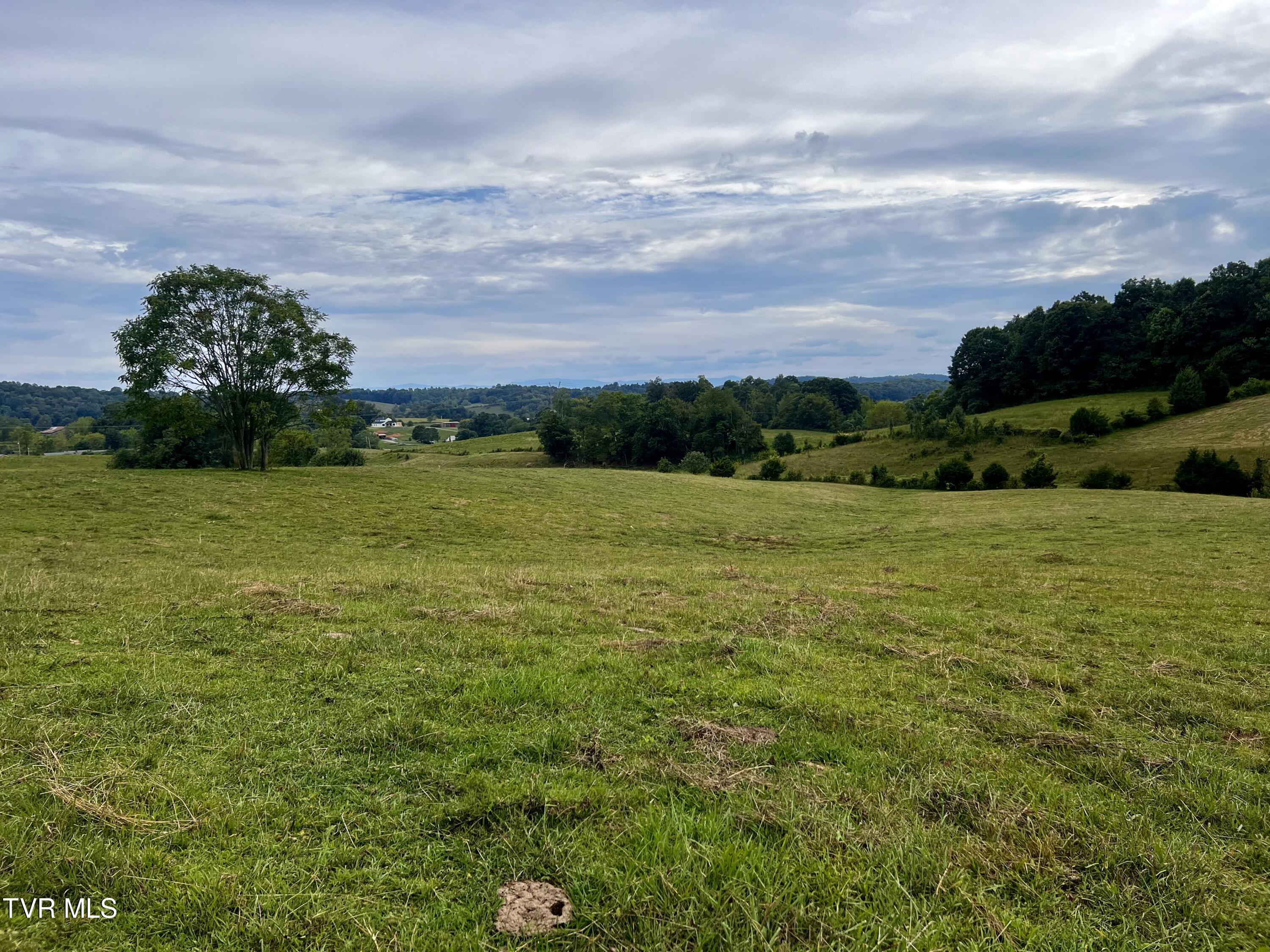 93 Fall Branch Fall Branch, TN 37656 - Photo 47 of 73 _Pic47 (8)