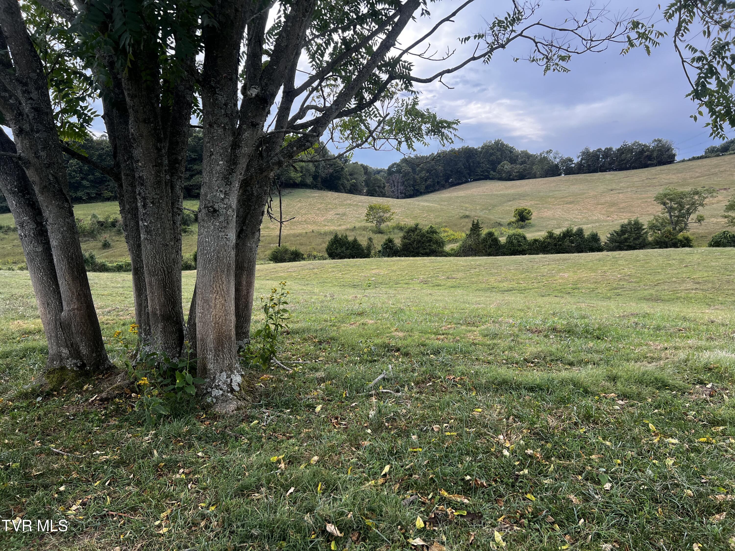 93 Fall Branch Fall Branch, TN 37656 - Photo 48 of 73 _Pic48 (8)