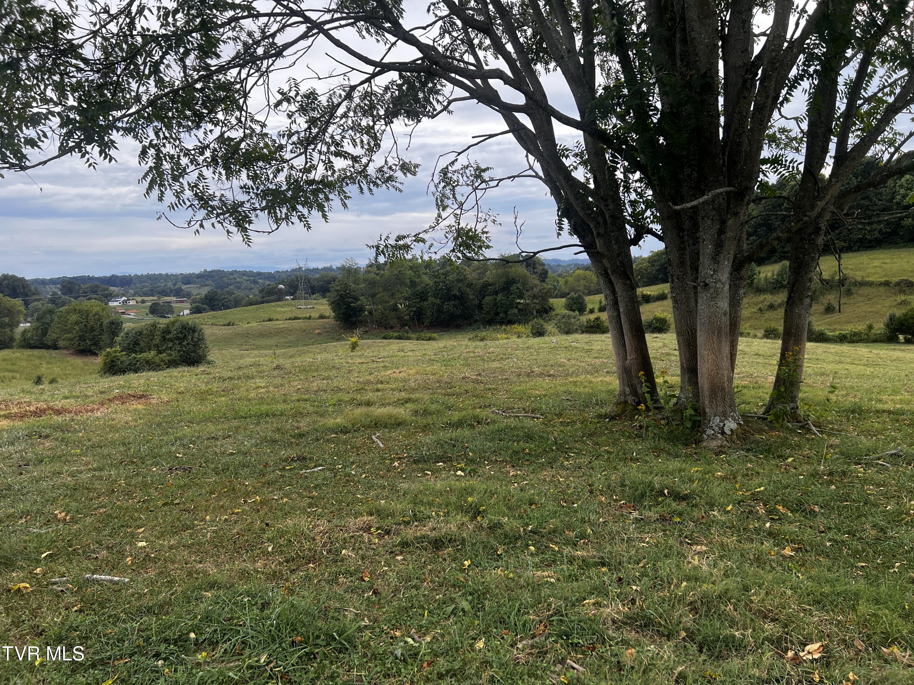 93 Fall Branch Fall Branch, TN 37656 - Photo 49 of 73 _Pic49 (9)