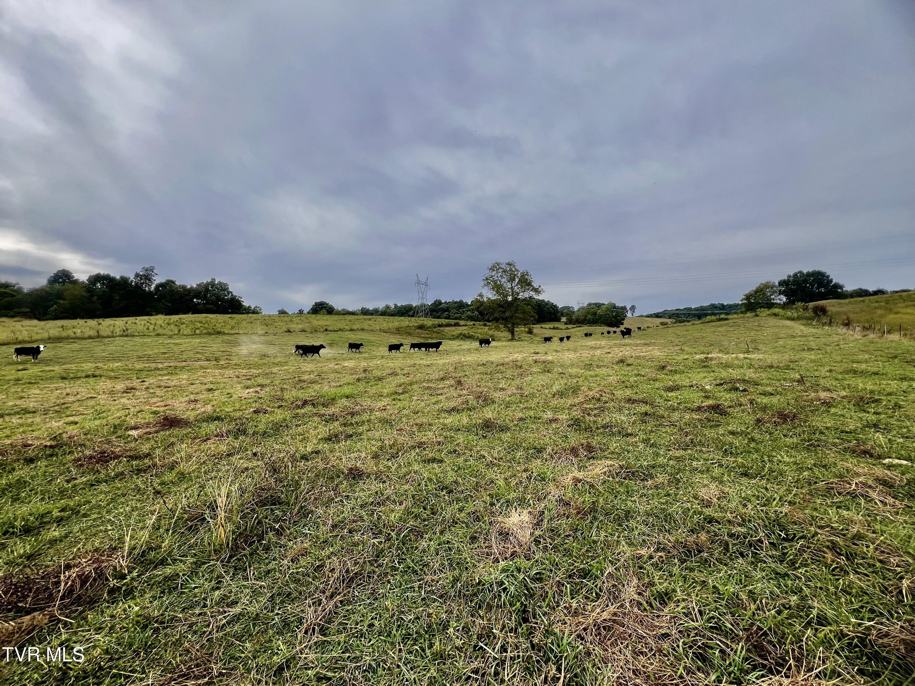 93 Fall Branch Fall Branch, TN 37656 - Photo 50 of 73 _Pic50 (10)