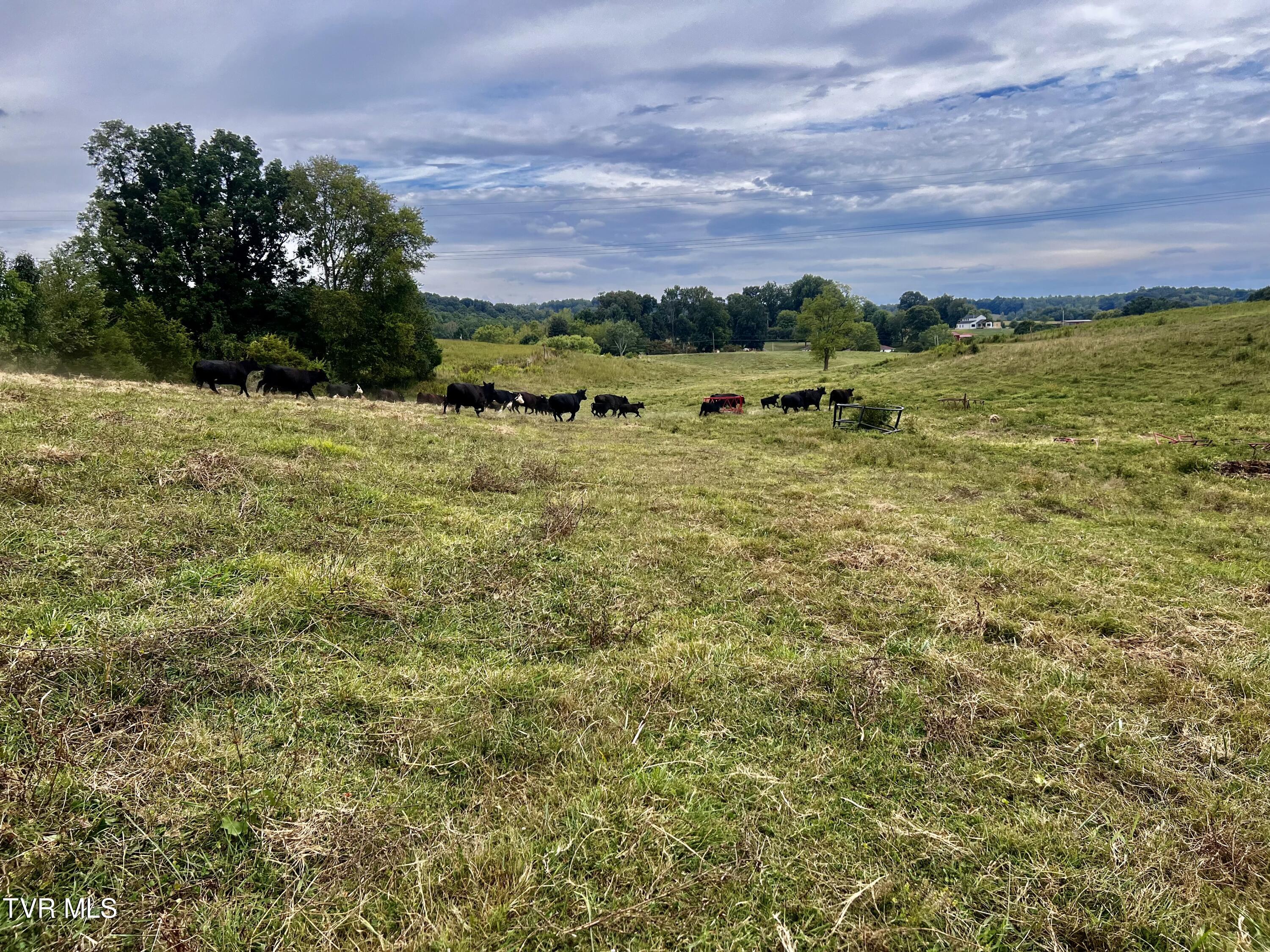 93 Fall Branch Fall Branch, TN 37656 - Photo 51 of 73 _Pic51 (9)