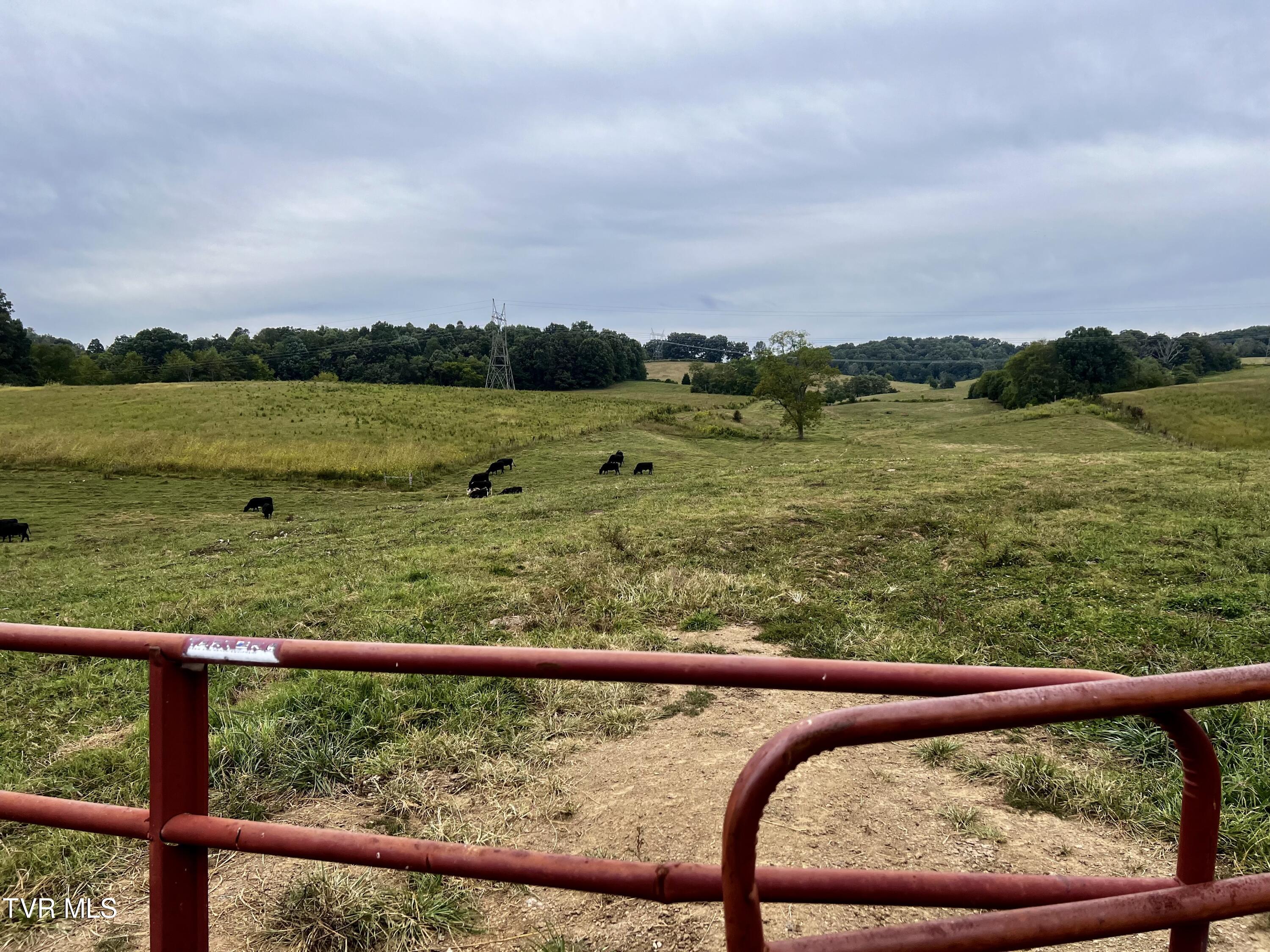 93 Fall Branch Fall Branch, TN 37656 - Photo 52 of 73 _Pic52 (8)