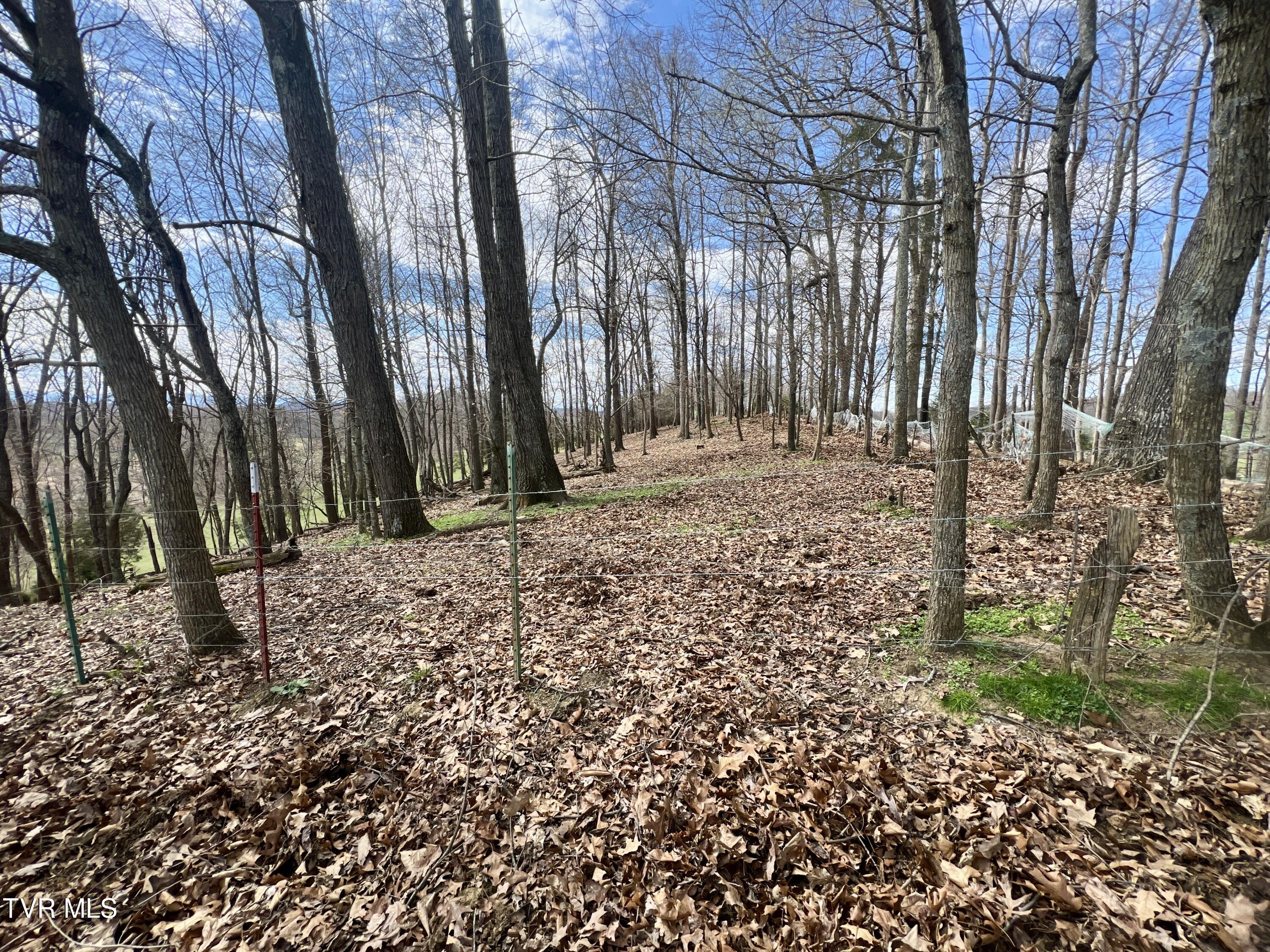 93 Fall Branch Fall Branch, TN 37656 - Photo 53 of 73 _Pic53 (8)