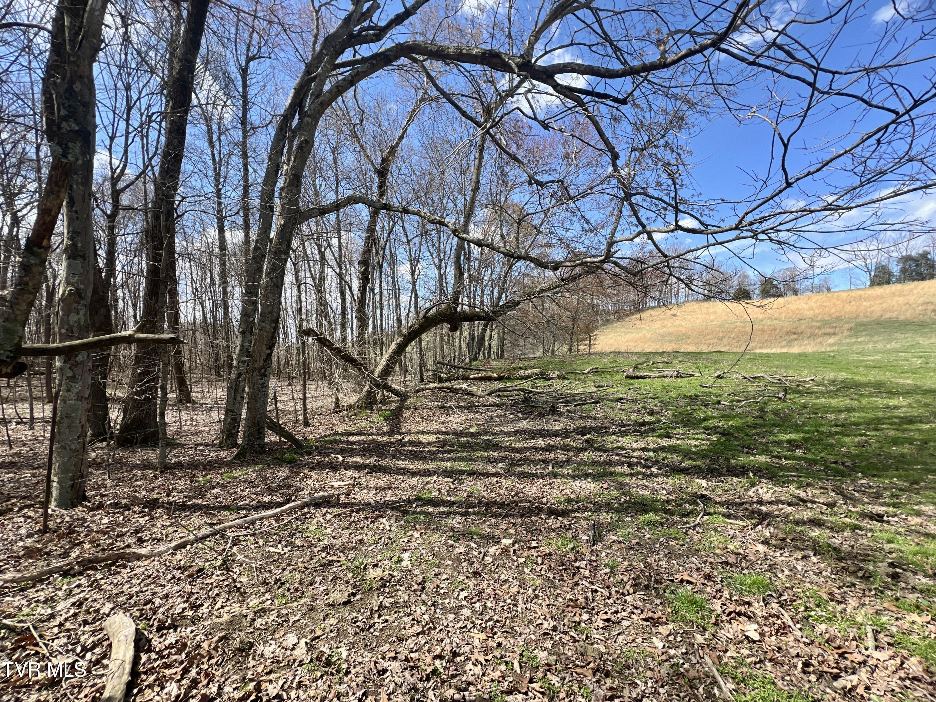 93 Fall Branch Fall Branch, TN 37656 - Photo 54 of 73 _Pic54 (8)