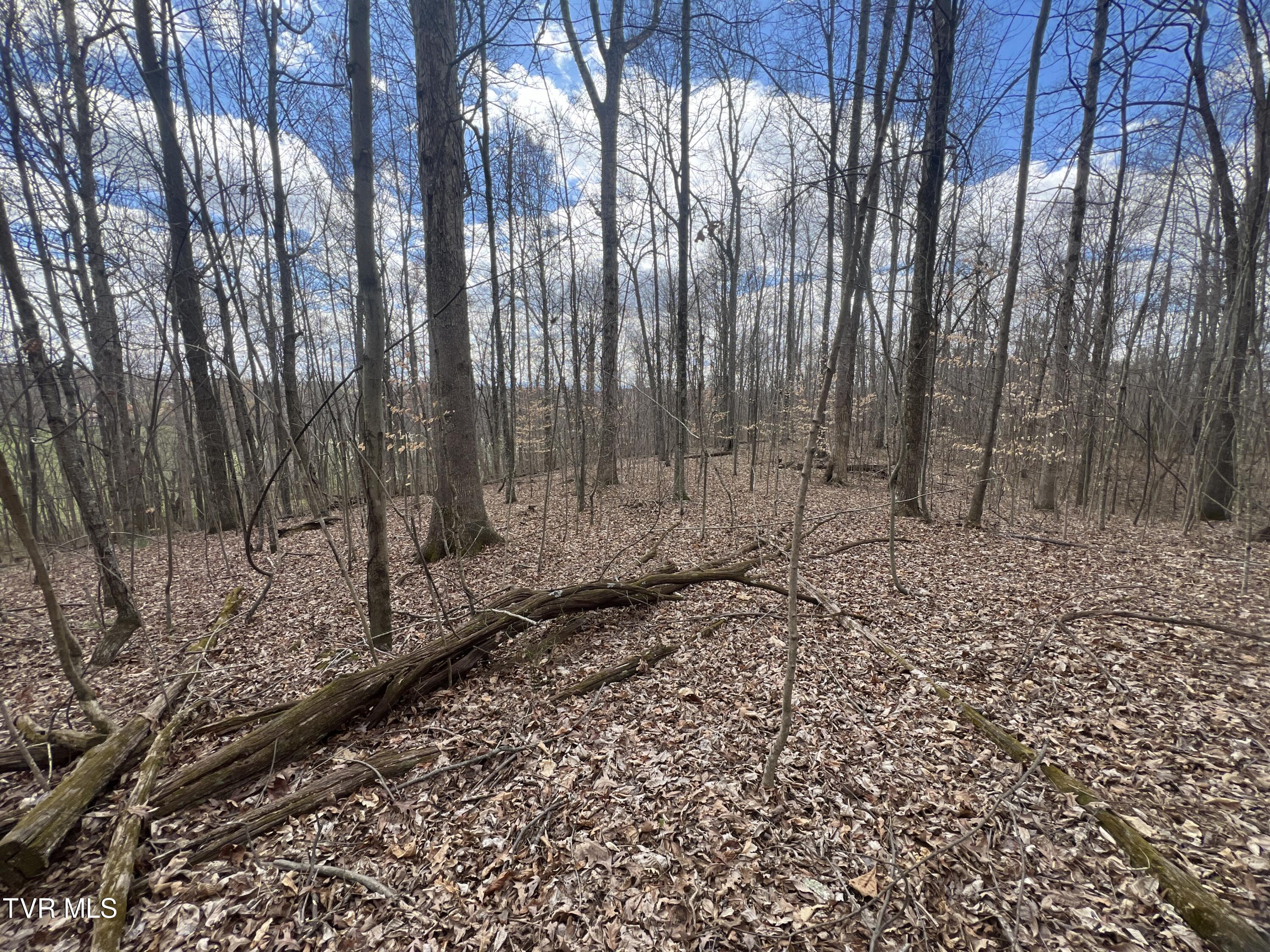 93 Fall Branch Fall Branch, TN 37656 - Photo 55 of 73 _Pic55 (8)