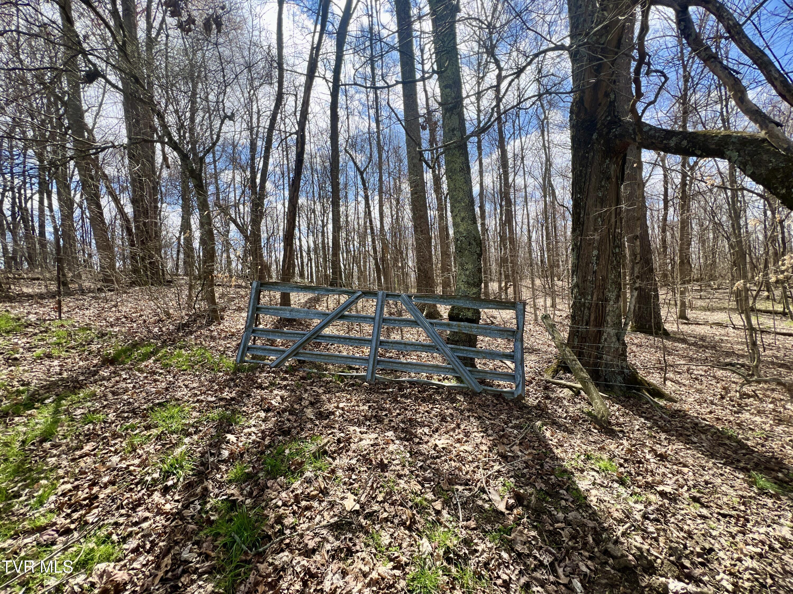 93 Fall Branch Fall Branch, TN 37656 - Photo 56 of 73 _Pic56 (7)