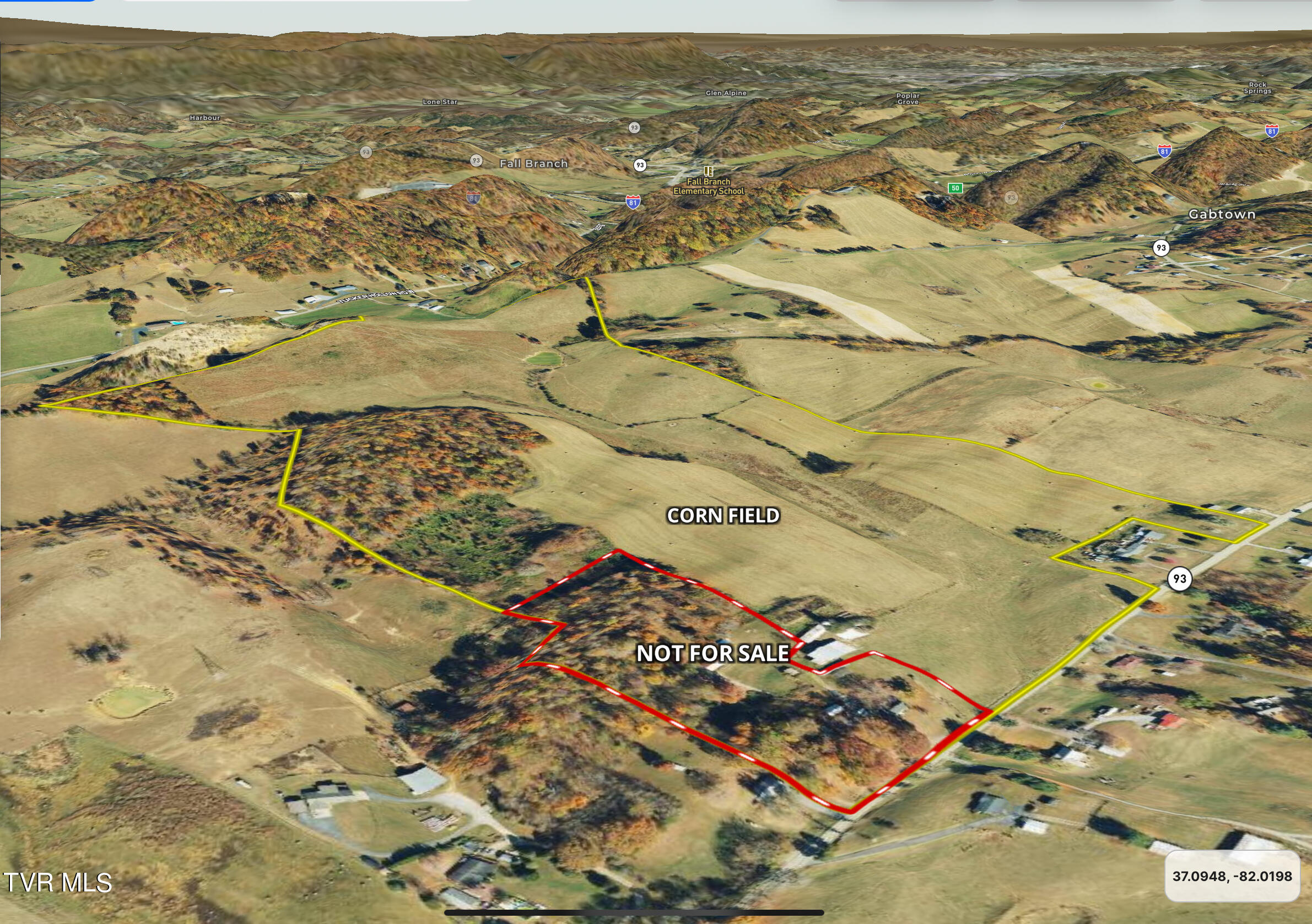 93 Fall Branch Fall Branch, TN 37656 - Photo 59 of 73 _Pic59