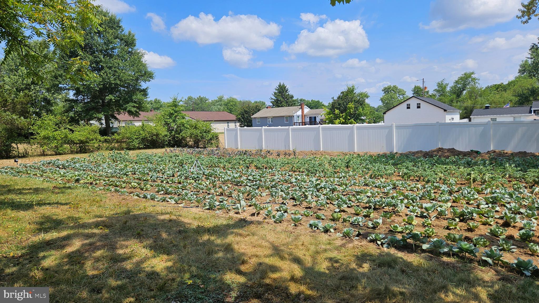 5908 Auth Road Suitland, MD 20746 - Photo 13 of 14 Backyard Garden