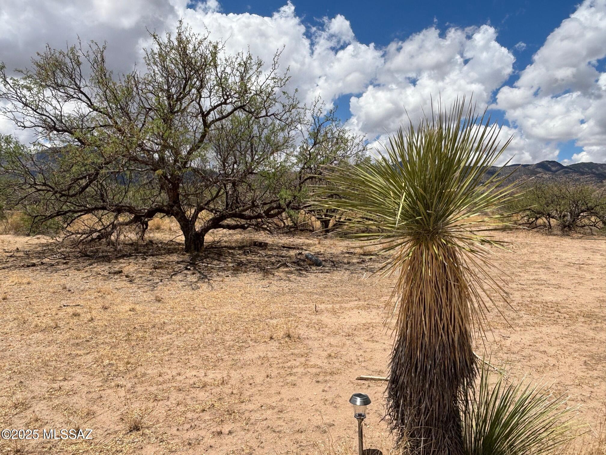 Tbd Bryant Road, Unit 181 Pearce, AZ 85625 - Photo 12 of 33