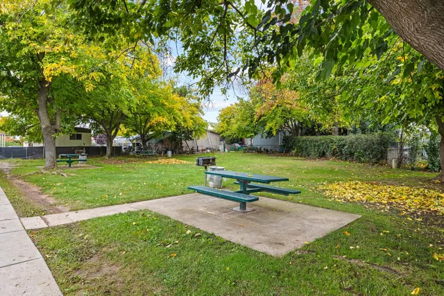 a park view with a bench