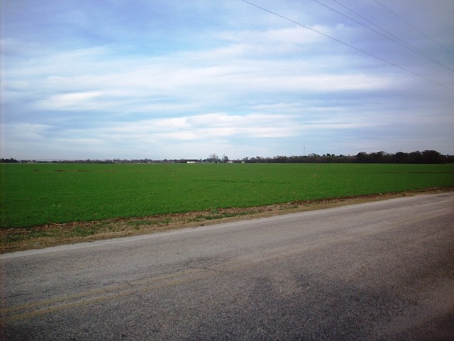 21 Highway 21 Atmore, AL 36502 - Photo 1 of 6