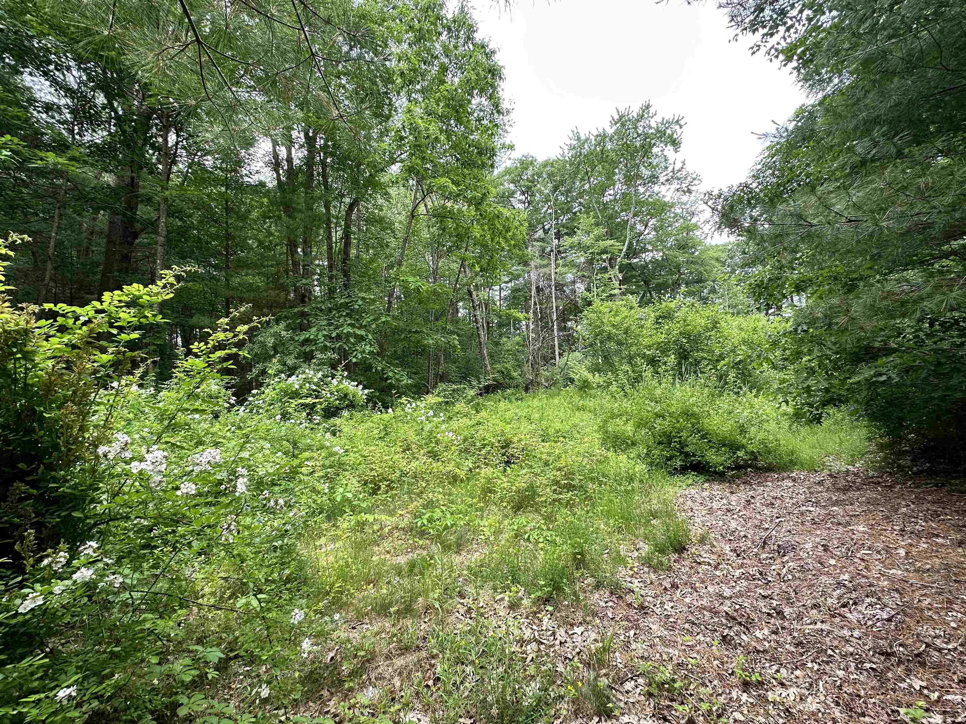 Map 727lot 6a Proctor Road, Manchester, NH 03109 Compass